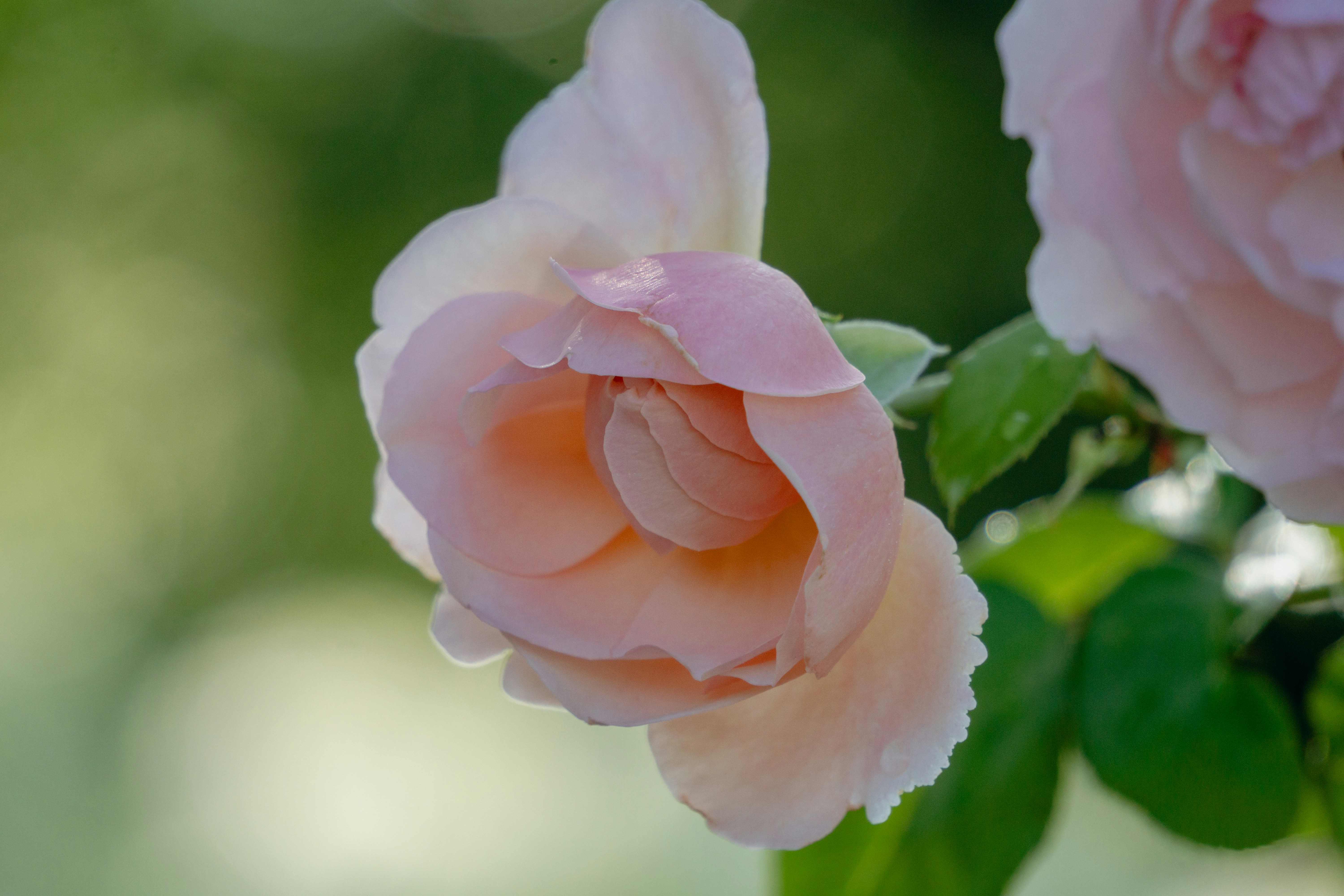 Photo by aravindreddytarugu