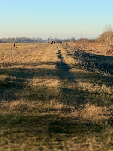 Pannonian Plain: Central Europe's Great Basin