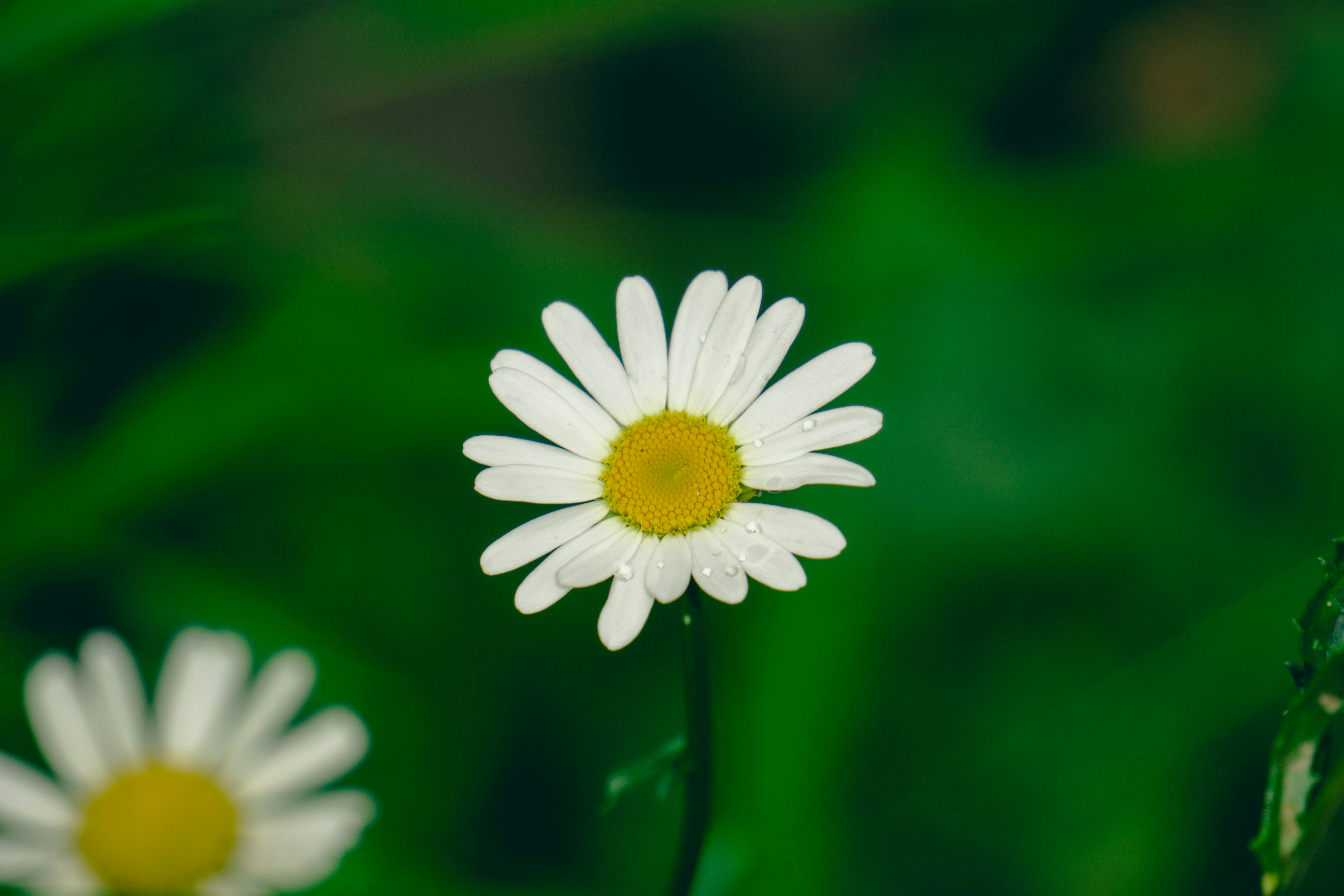 Photo by aravindreddytarugu