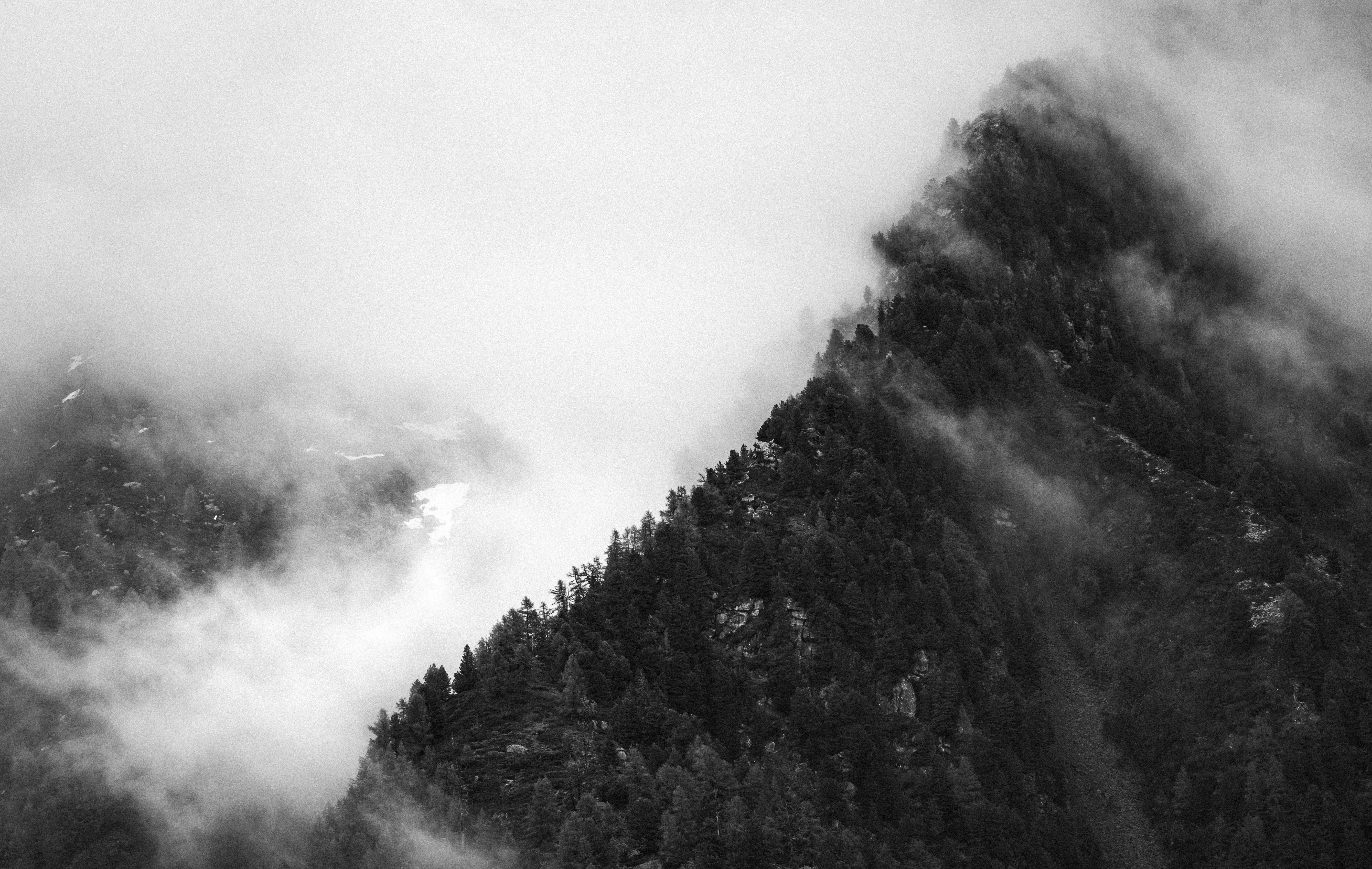 Photo by marekpiwnicki