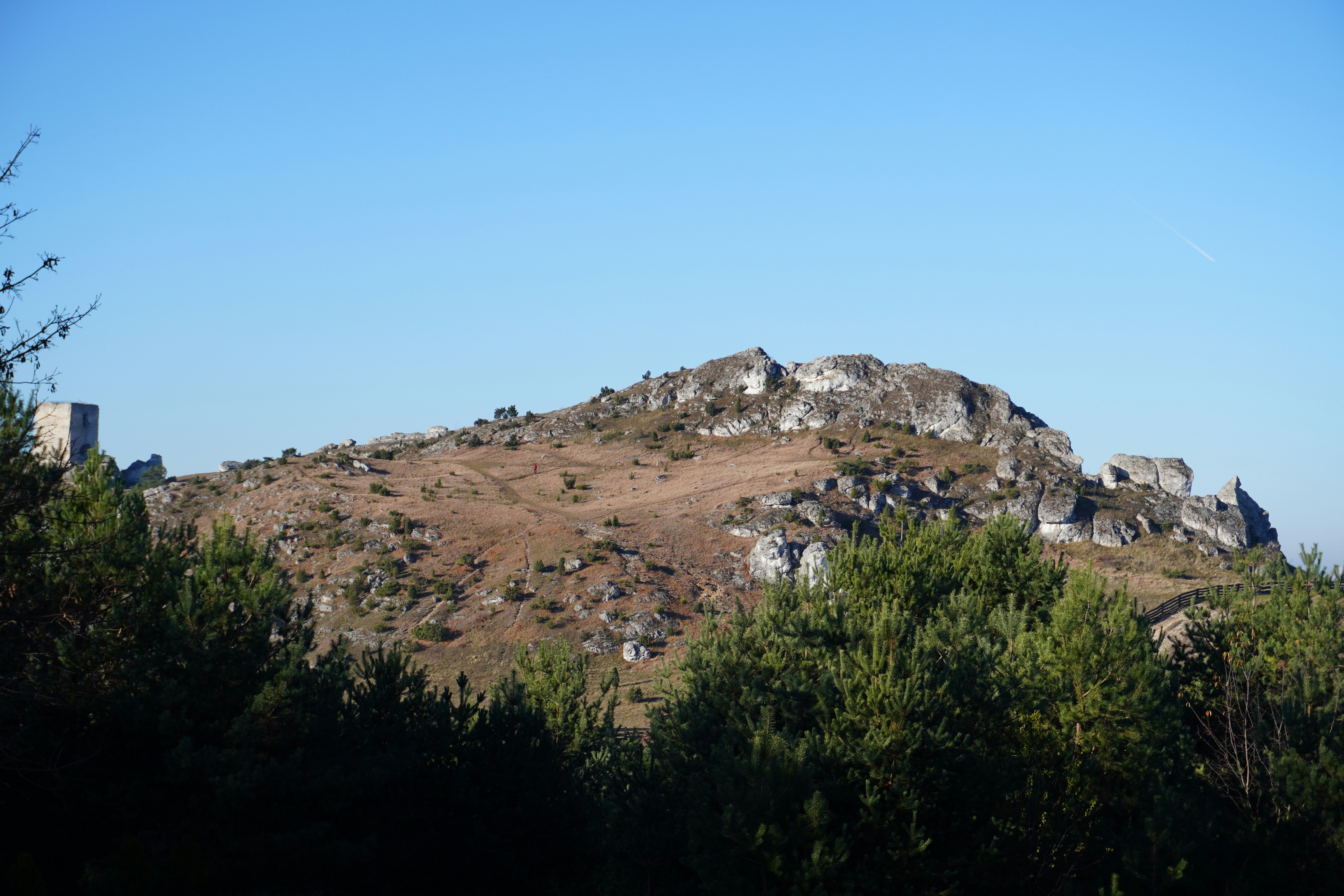 Photo by photographydamiankokot