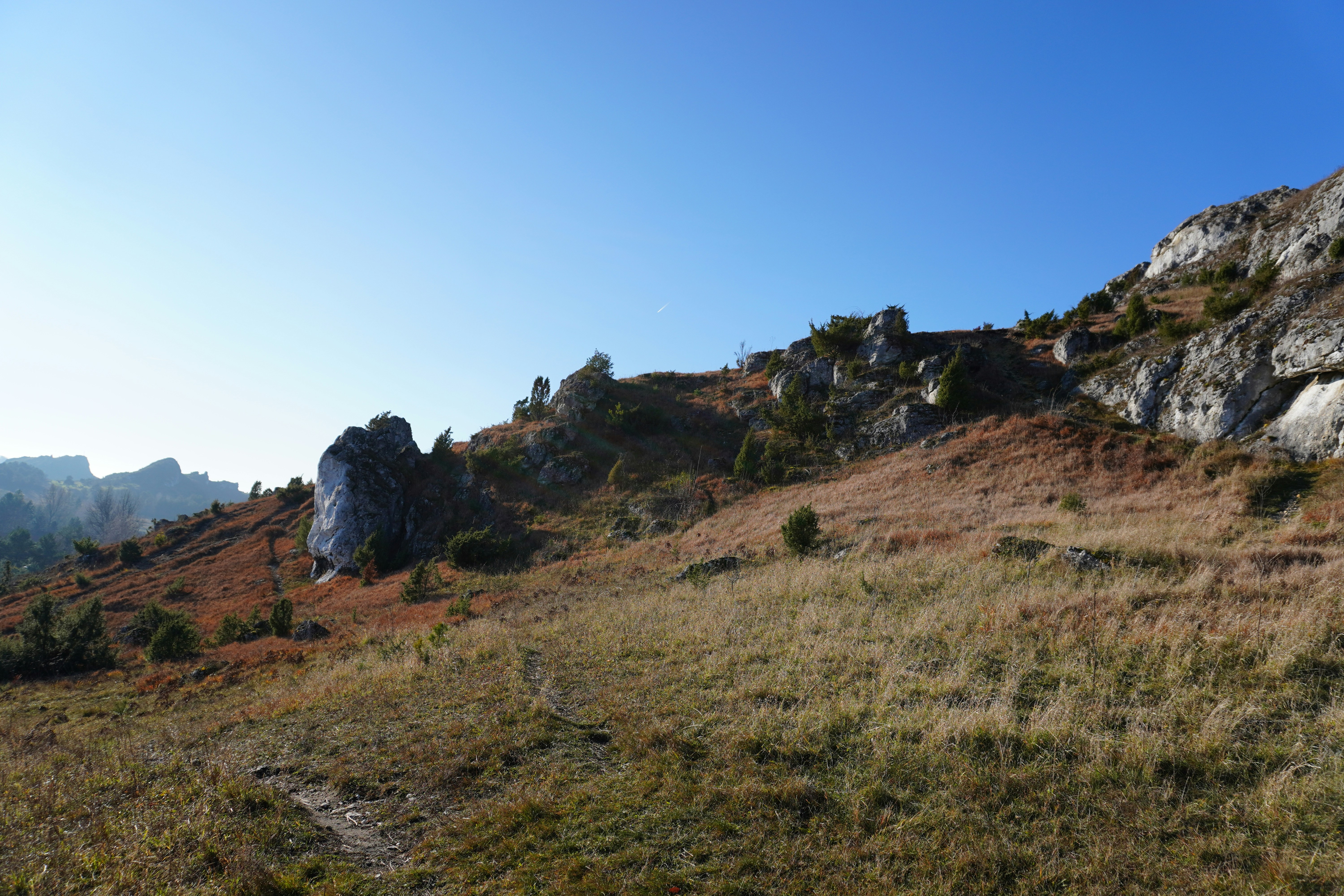 Photo by photographydamiankokot