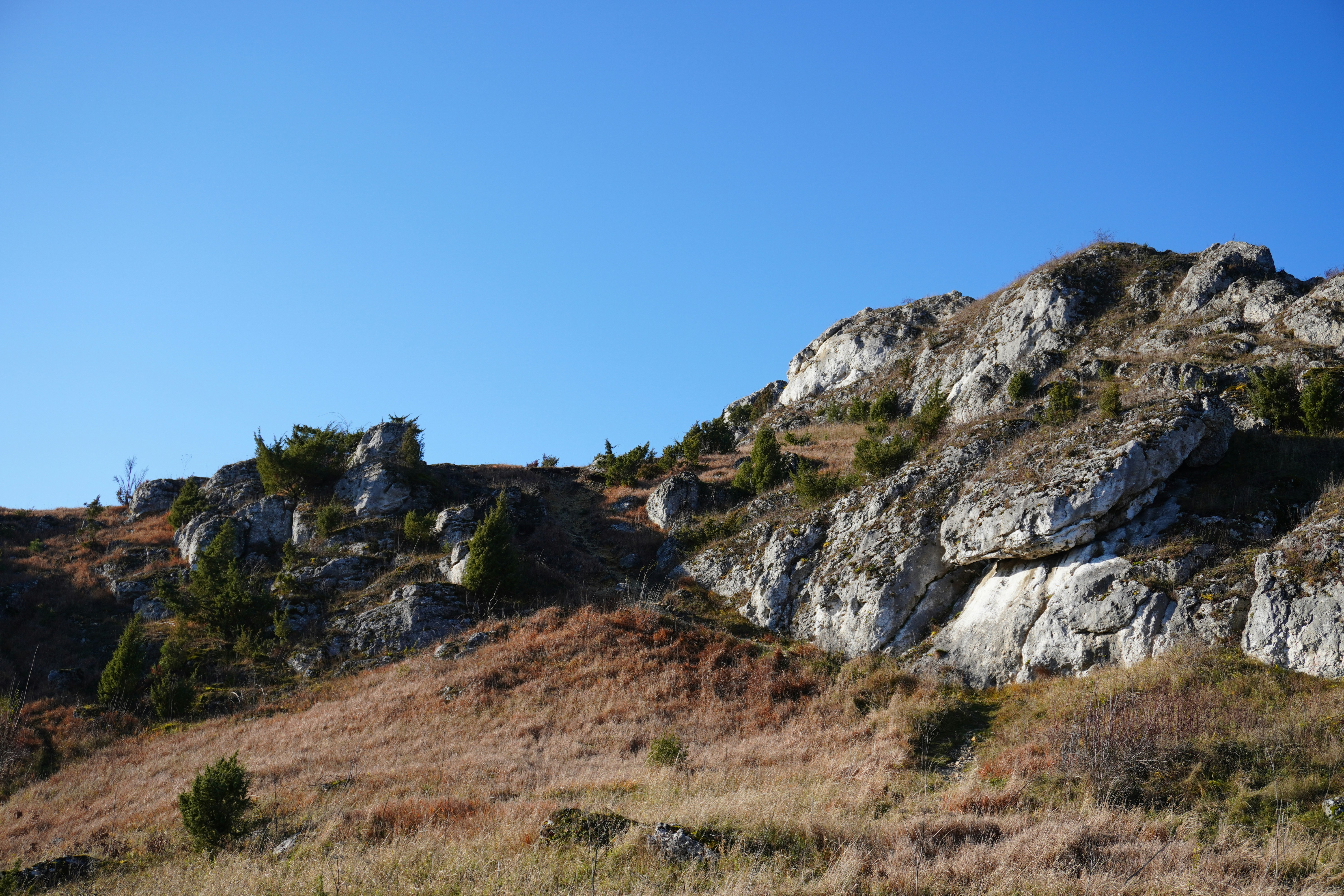 Photo by photographydamiankokot