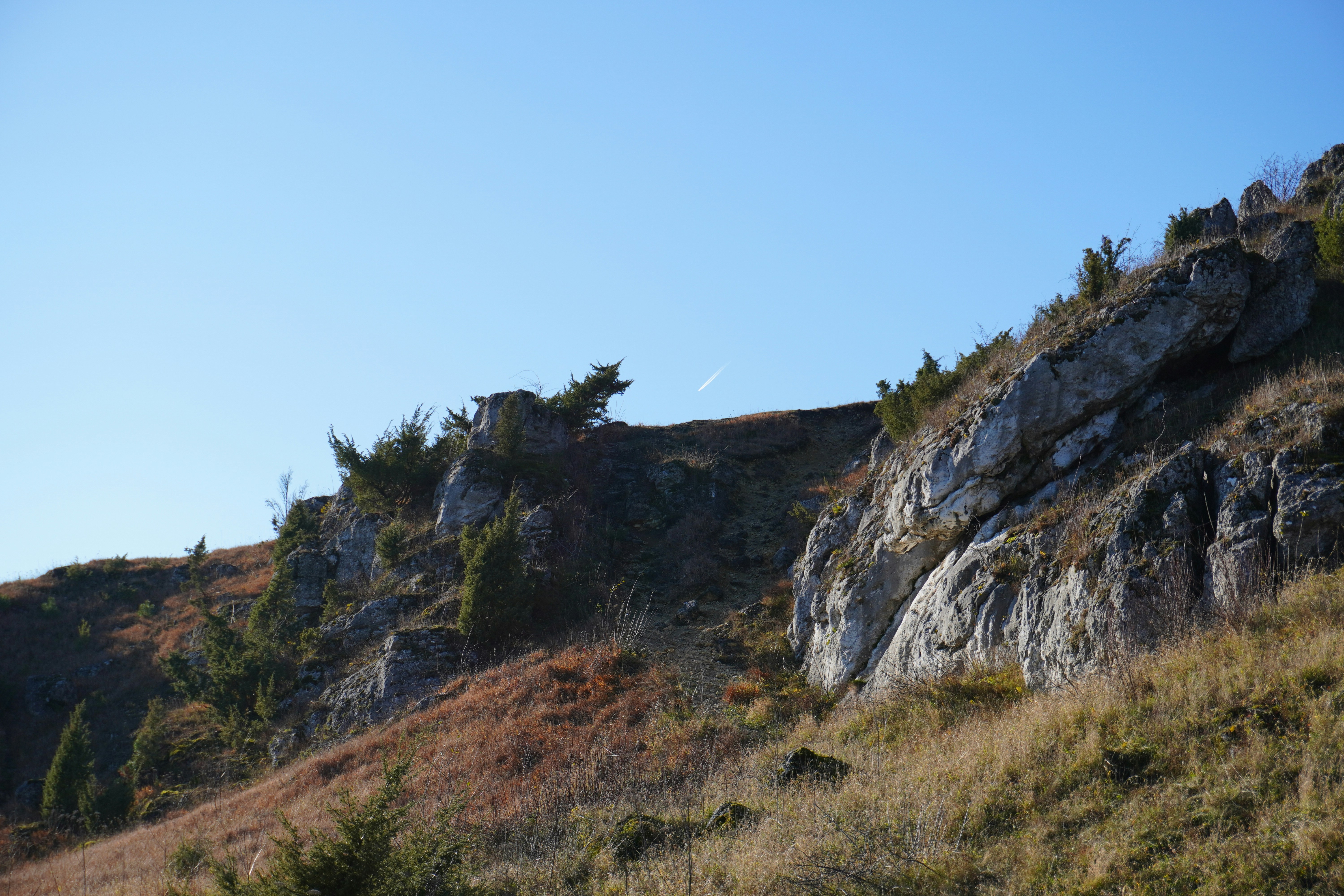 Photo by photographydamiankokot