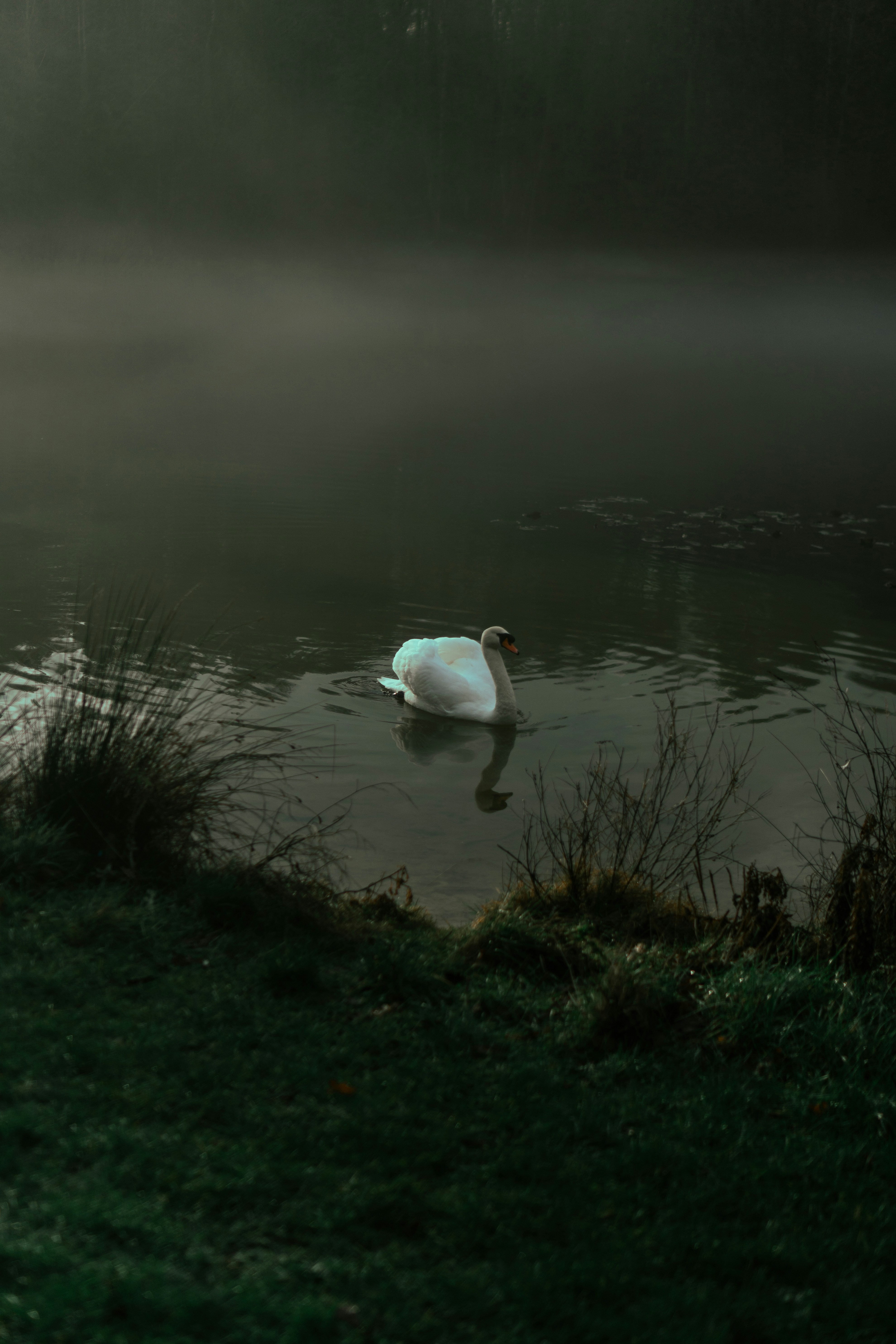 Photo by melatonical