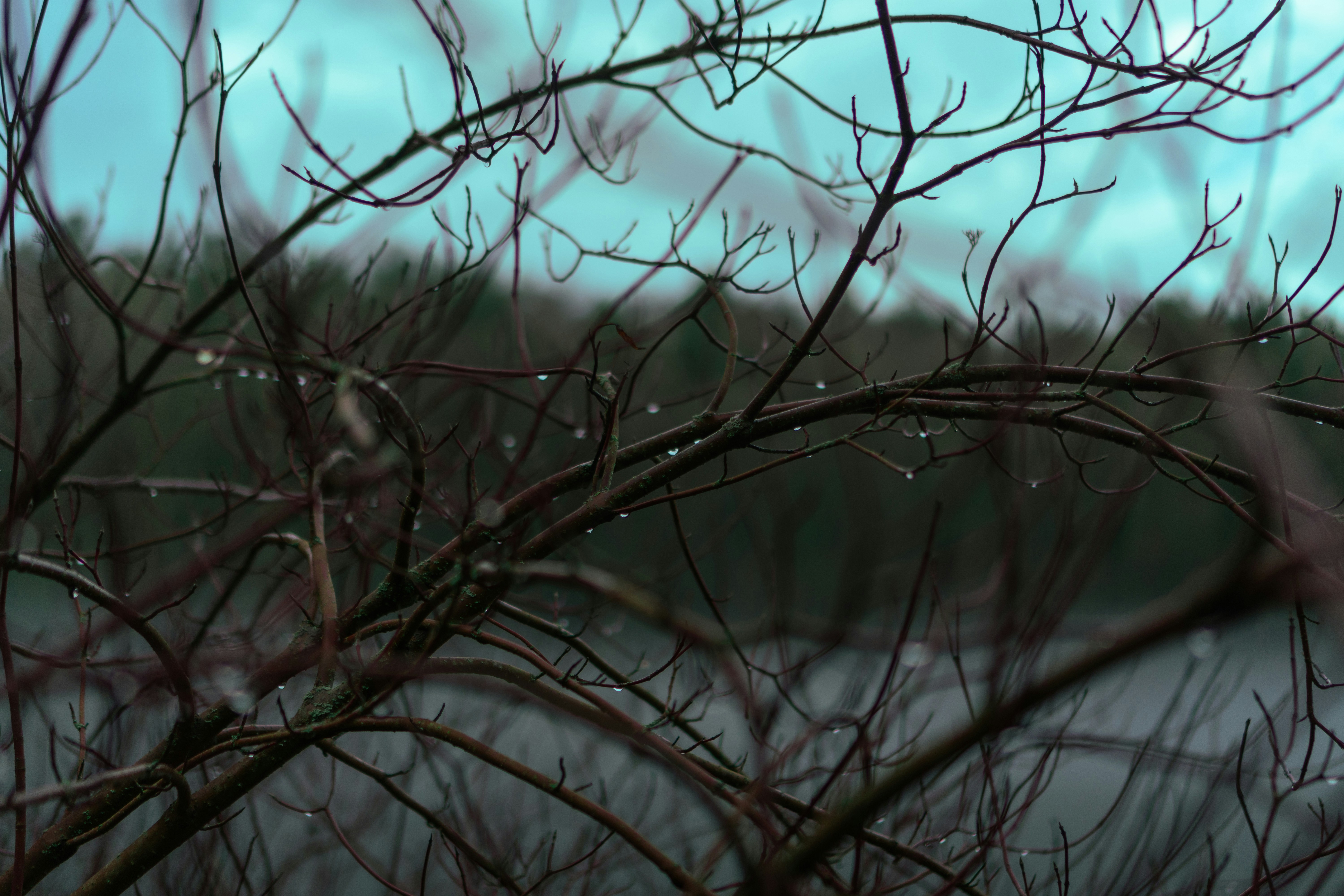 Photo by melatonical