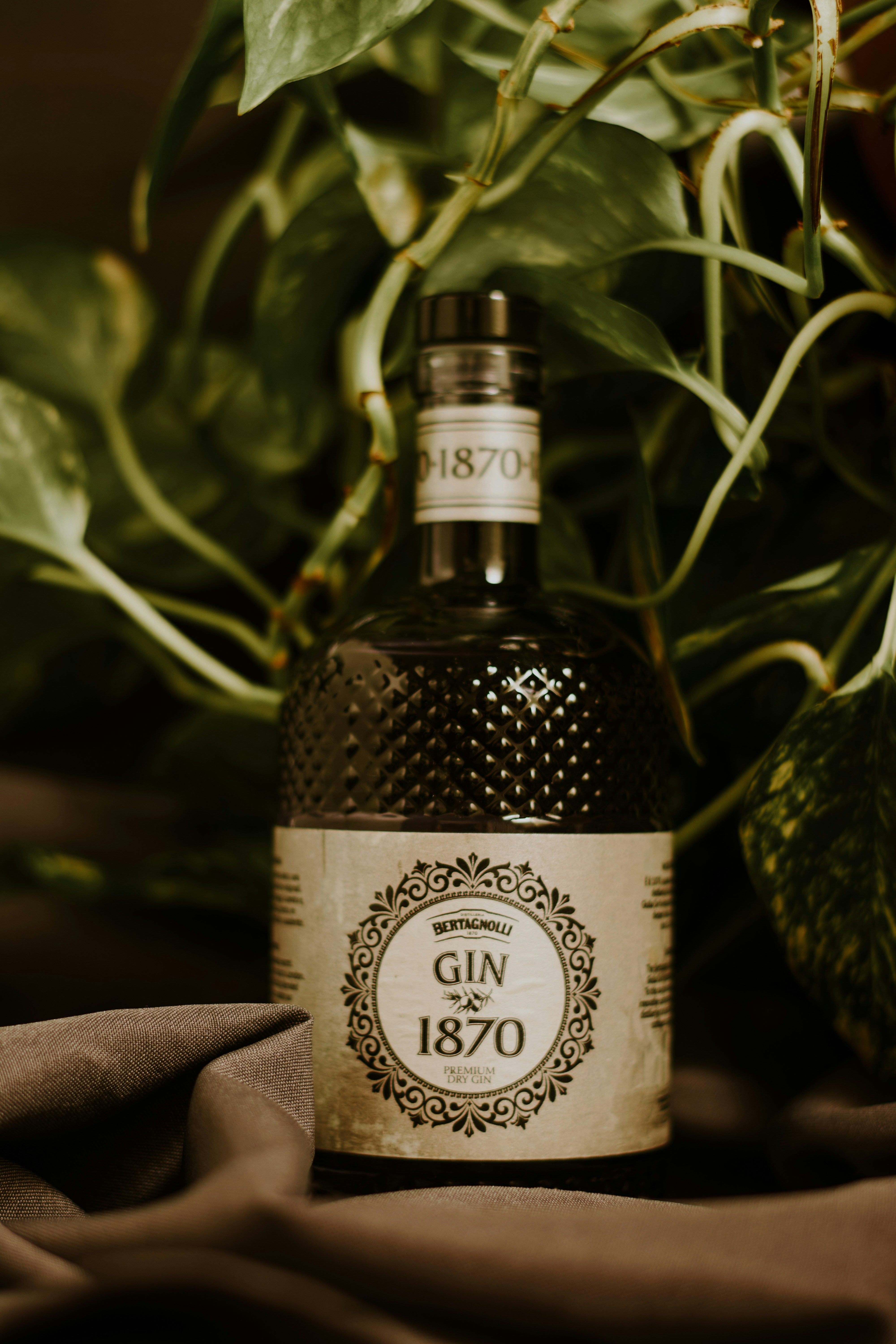 A bottle of gin on a cloth next to a potted plant