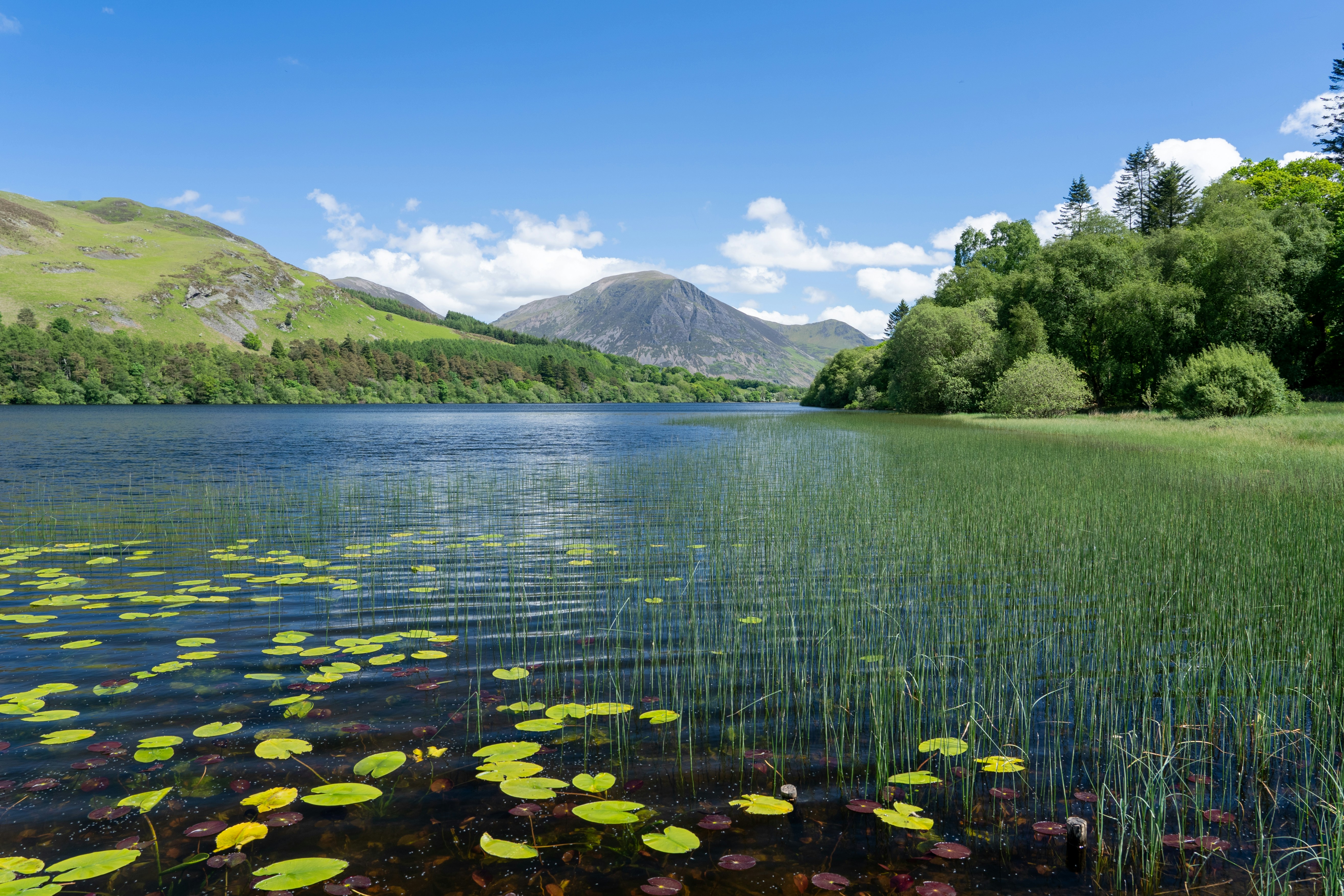 A large body of water surrounded by a lush green hillside