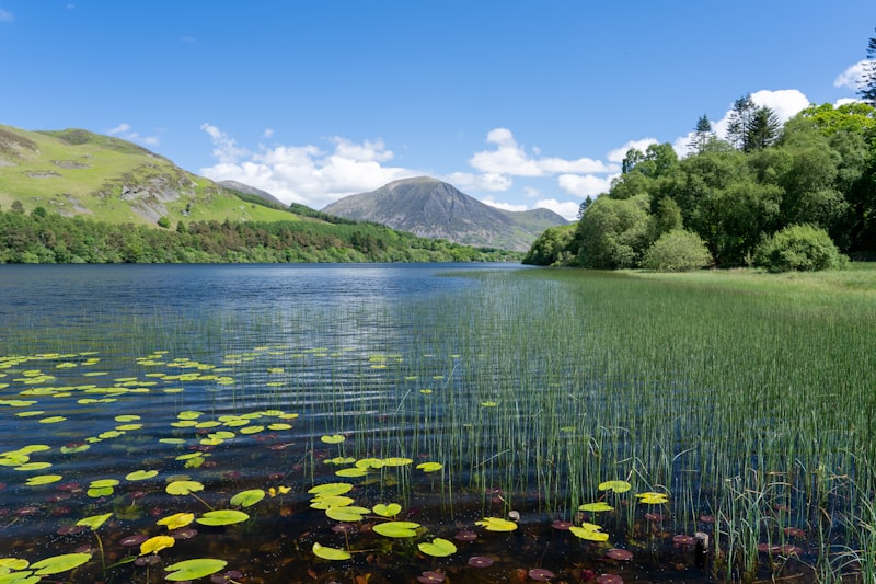 Quiet shingle beach and old boathouse on Crummock Water
