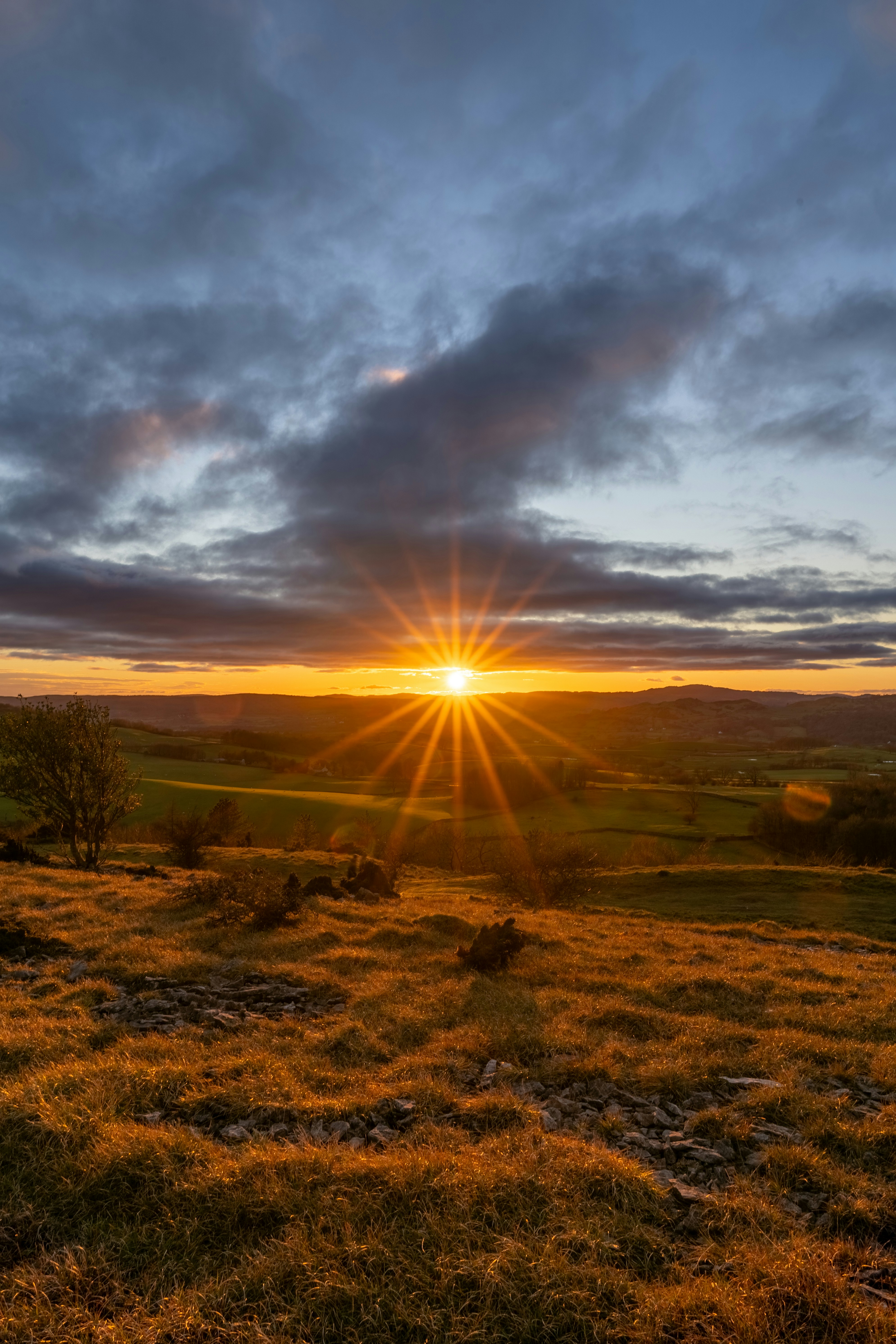 The sun is setting over a grassy field