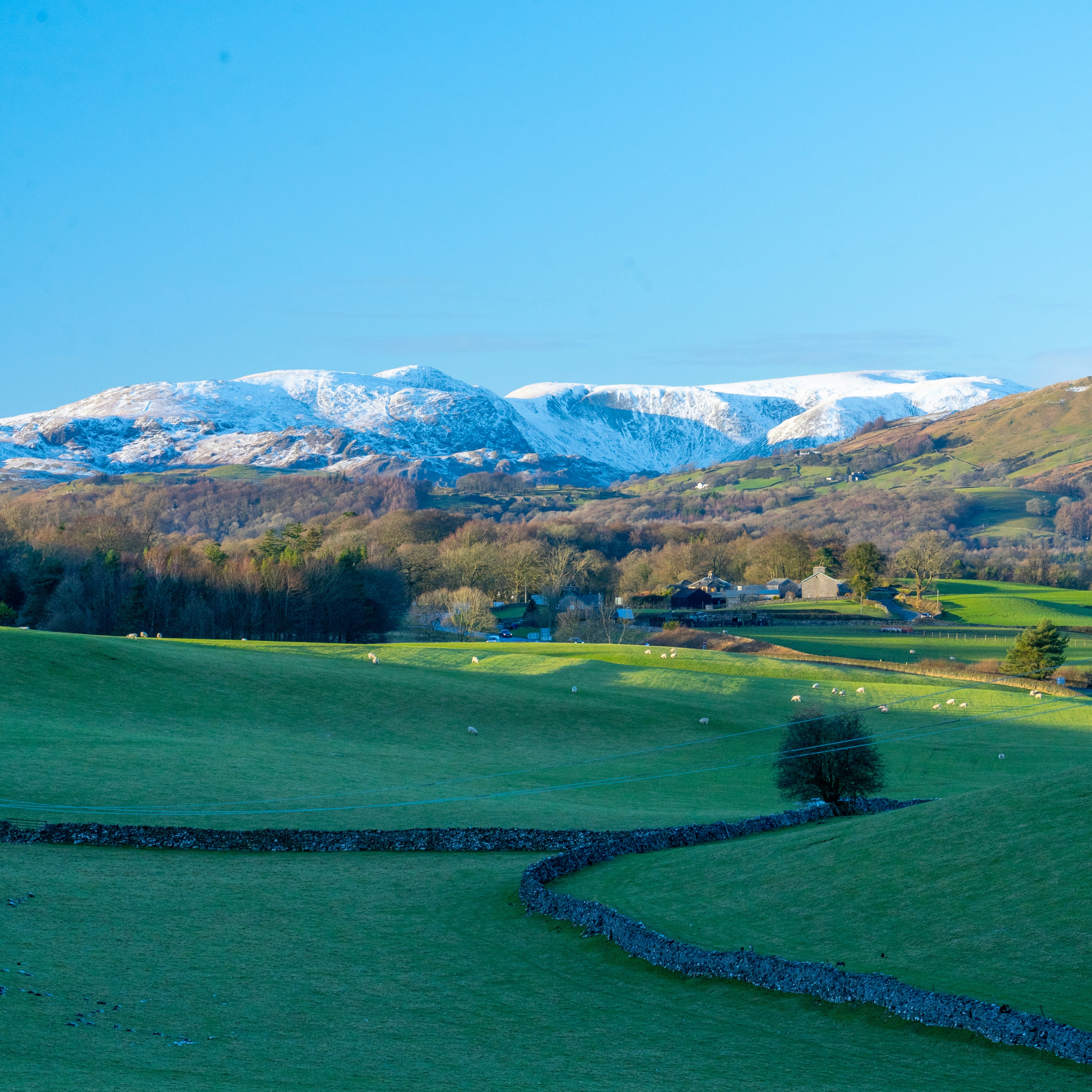 A green field with mountains in the background