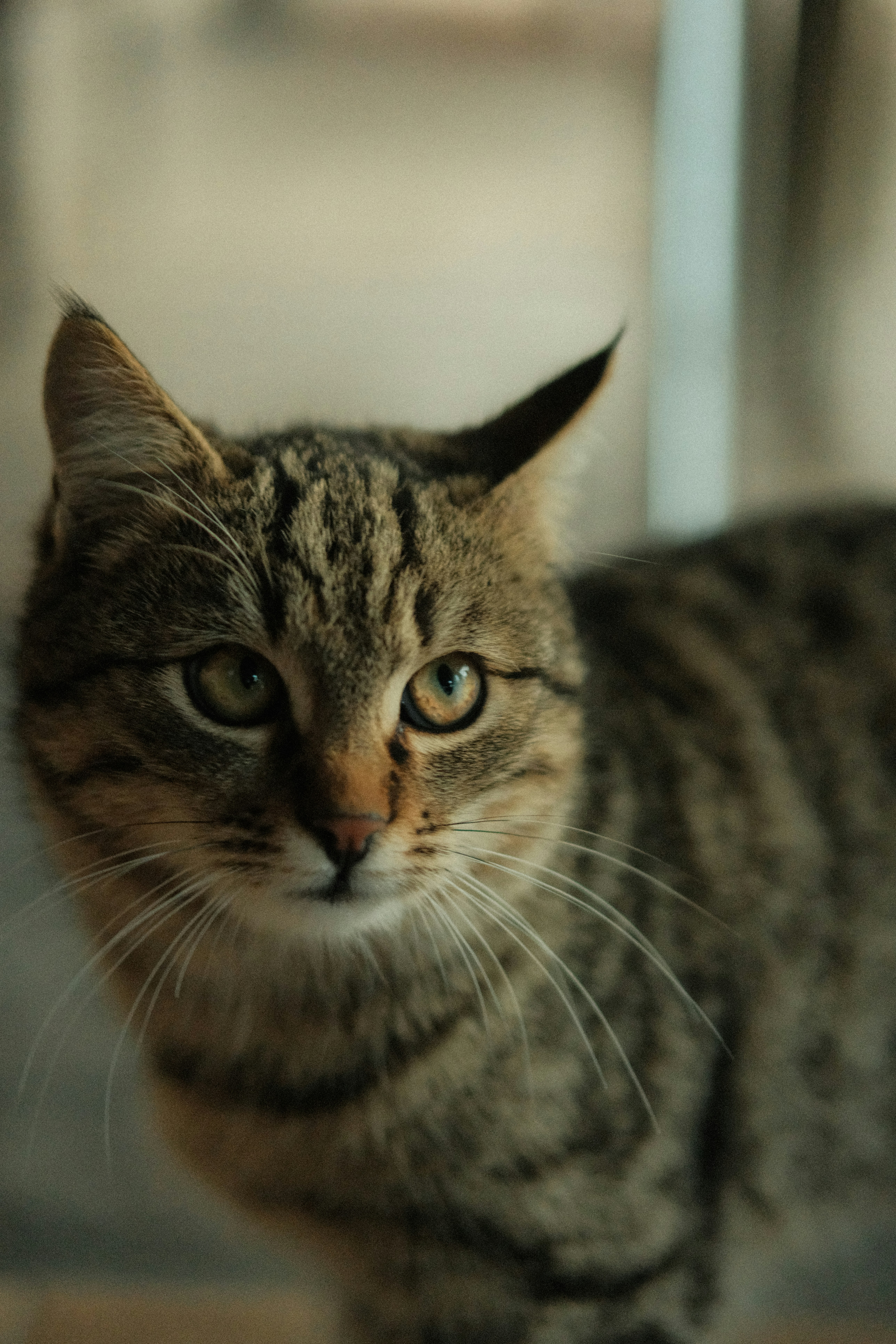 Photo by ismailefetop