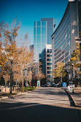 A city street lined with tall buildings and trees