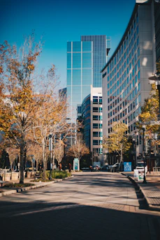 A city street lined with tall buildings and trees