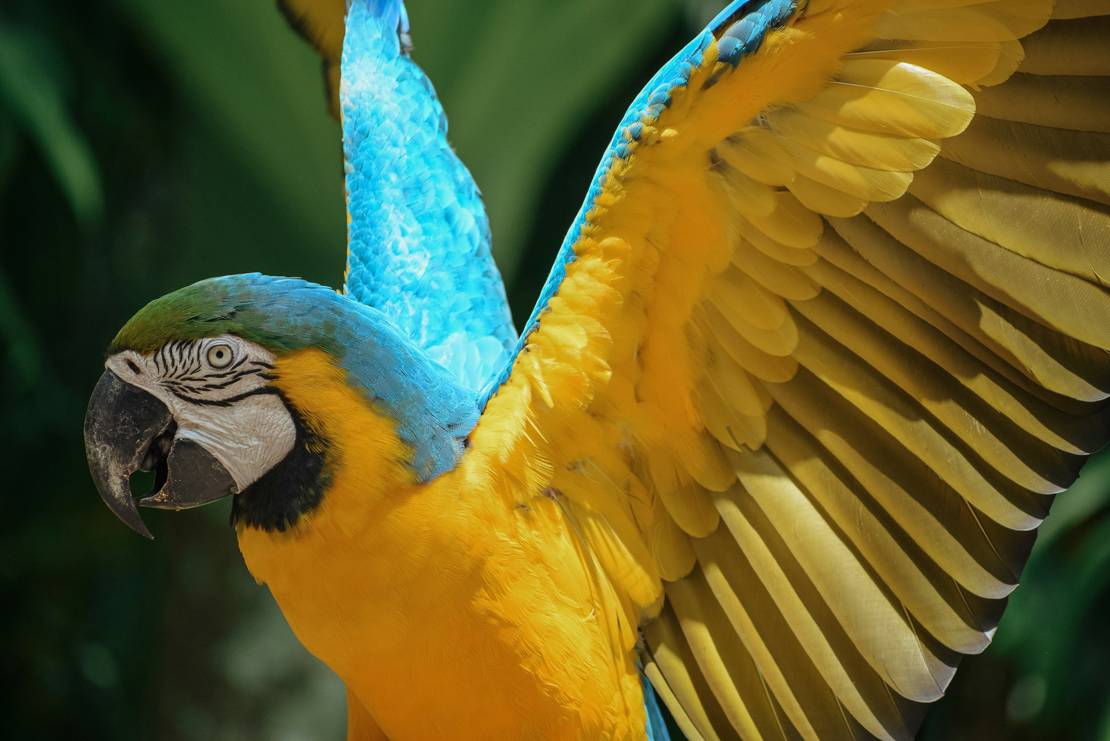 Photo by amandaswanepoel