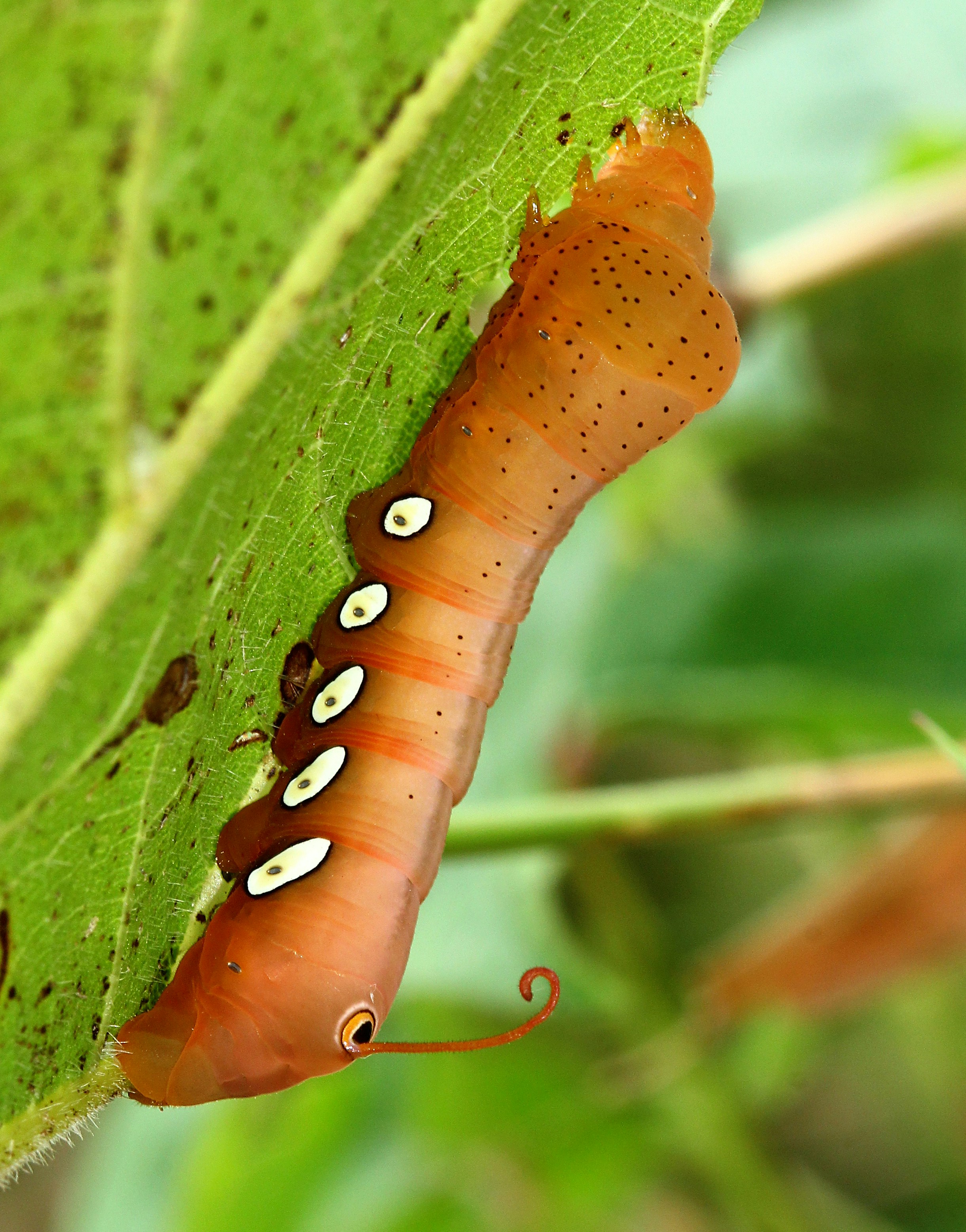 Photo by telliottmbamsc