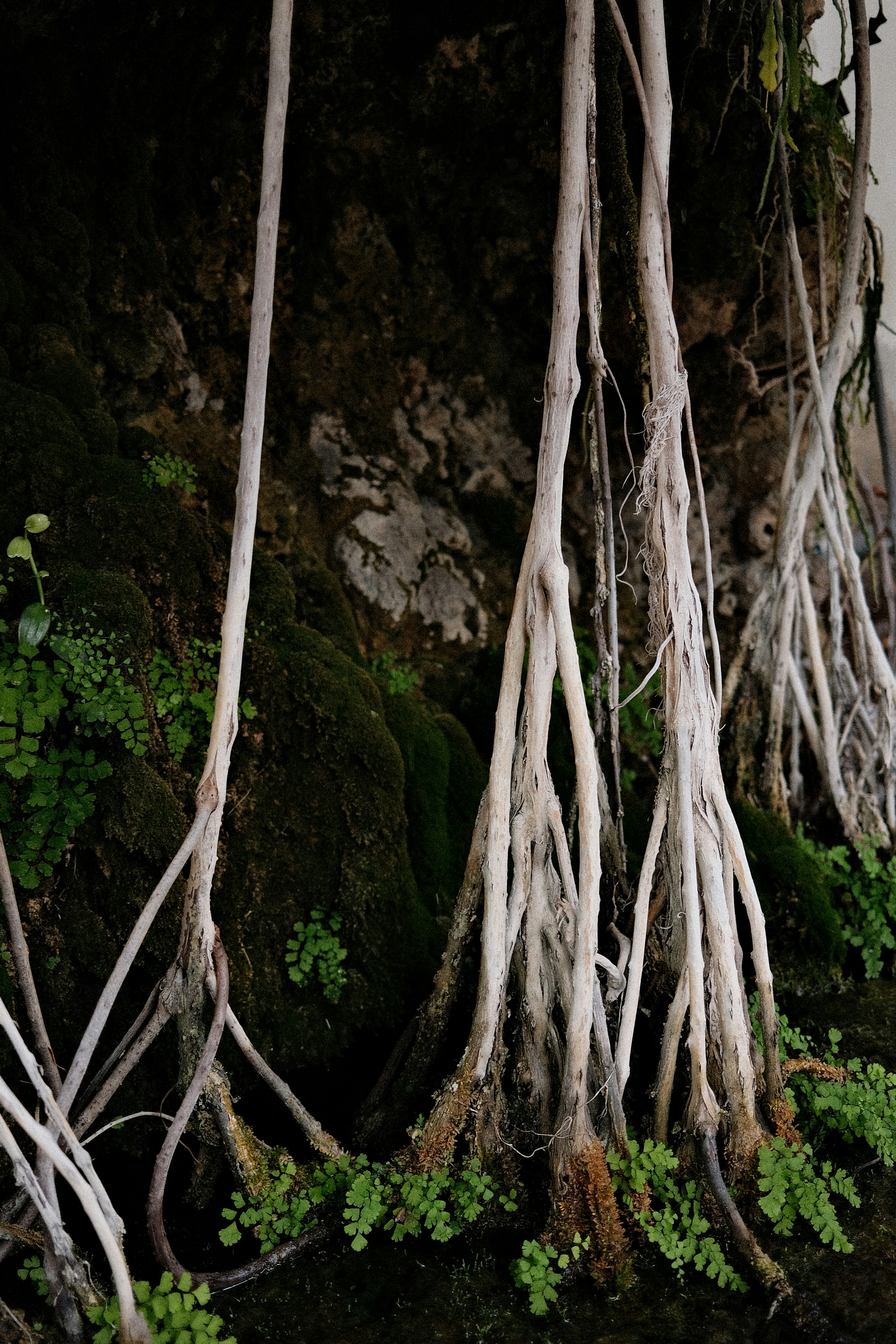 Photo by valentinlacoste