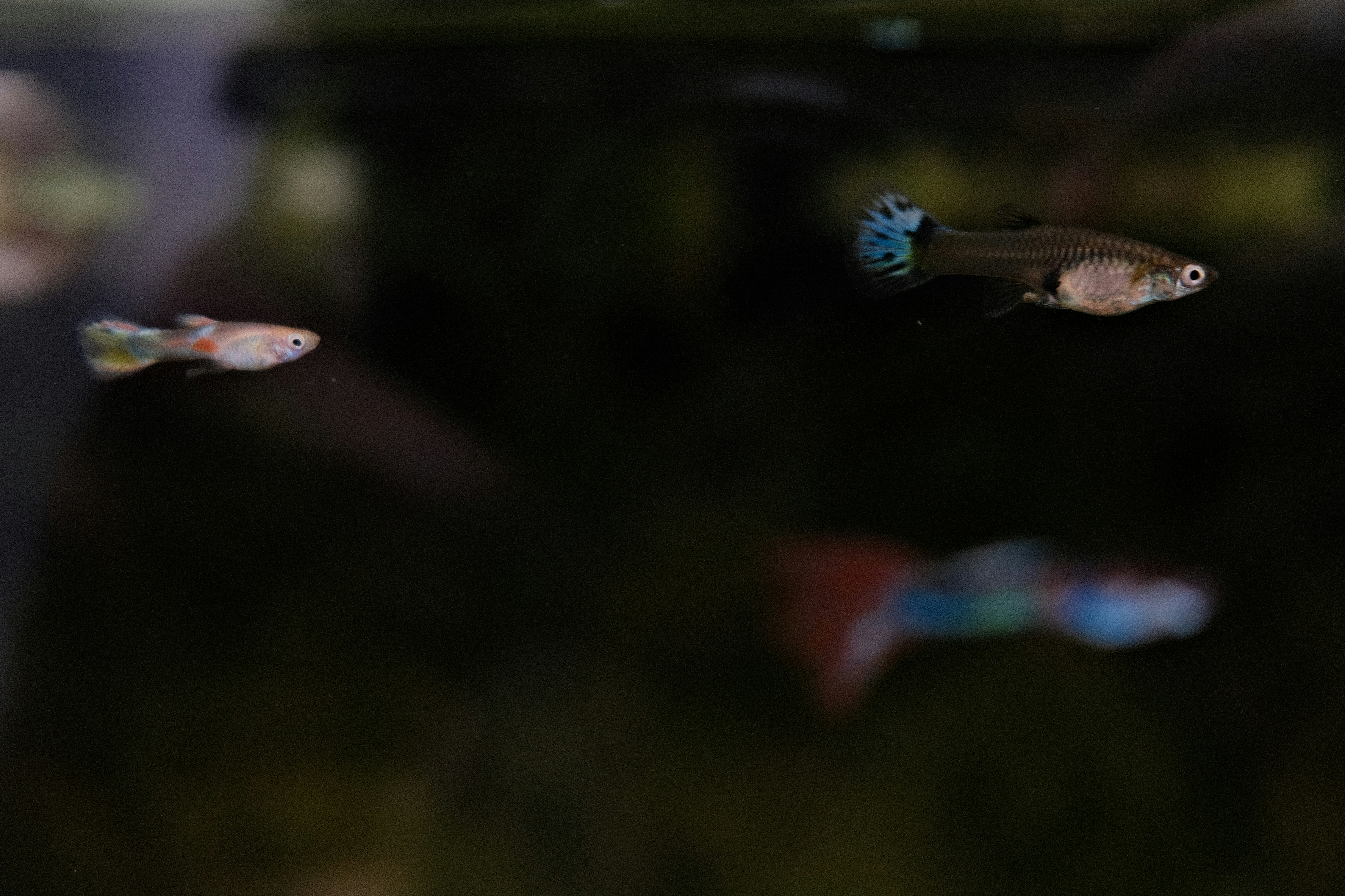 Photo by valentinlacoste