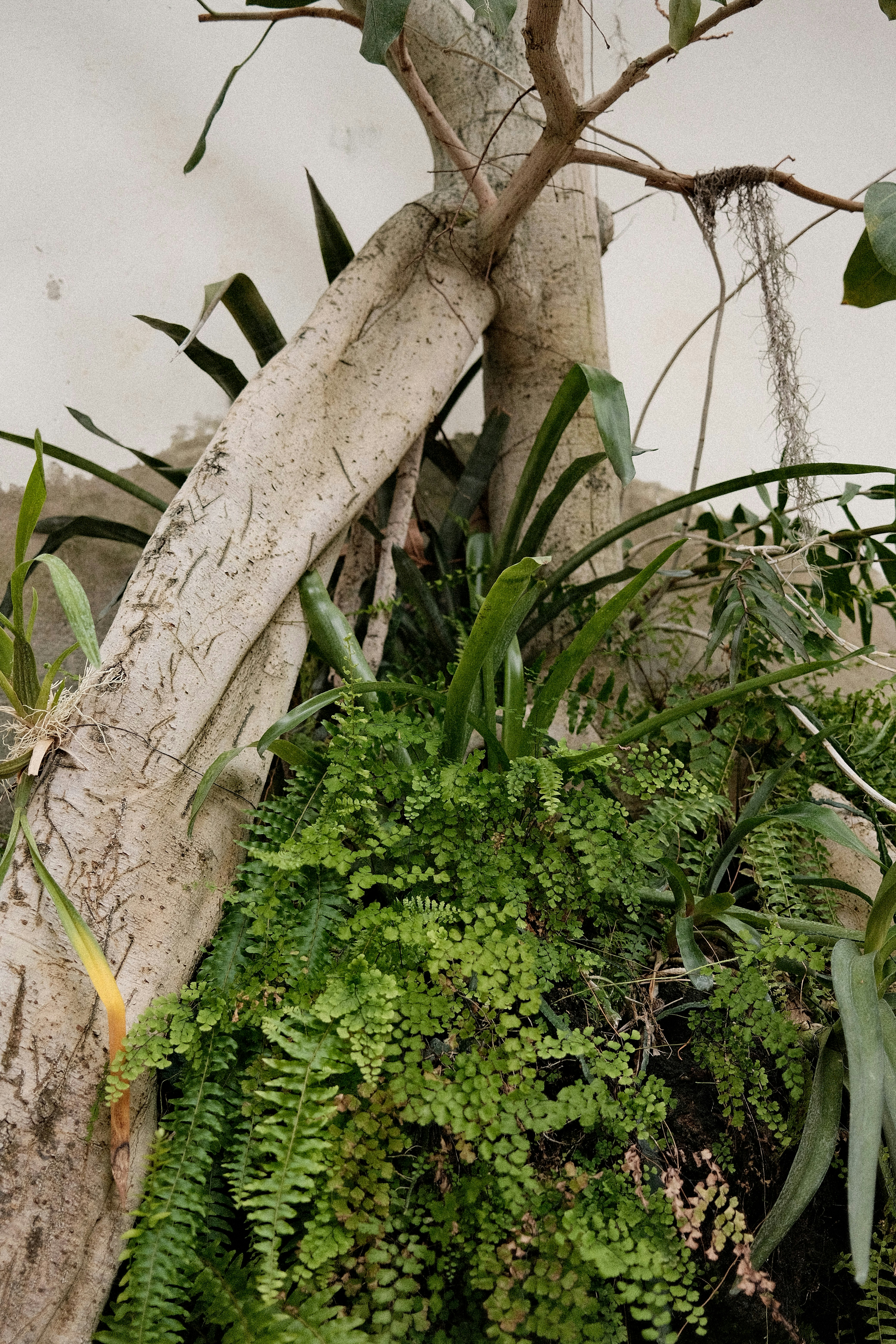 Photo by valentinlacoste