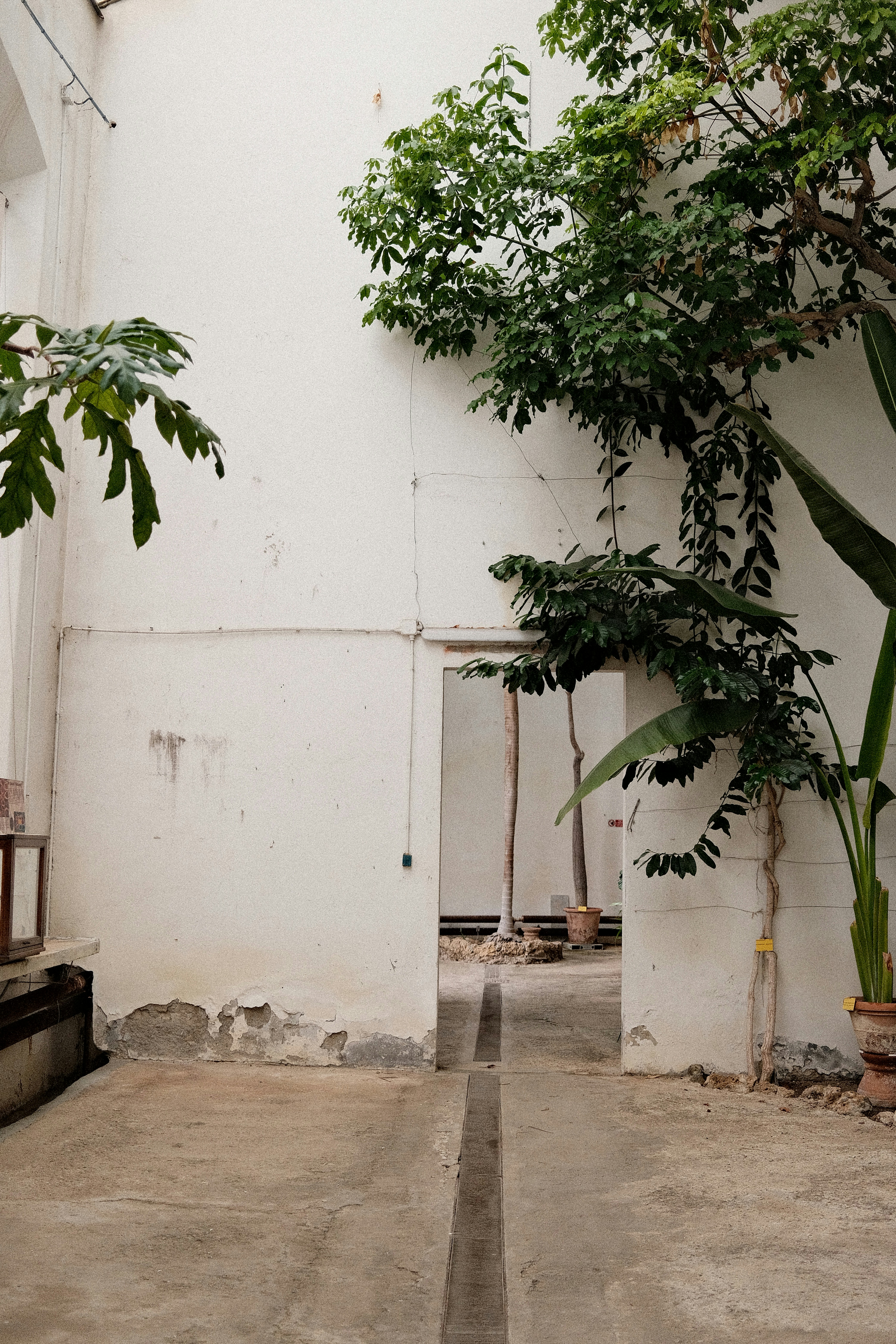 Photo by valentinlacoste