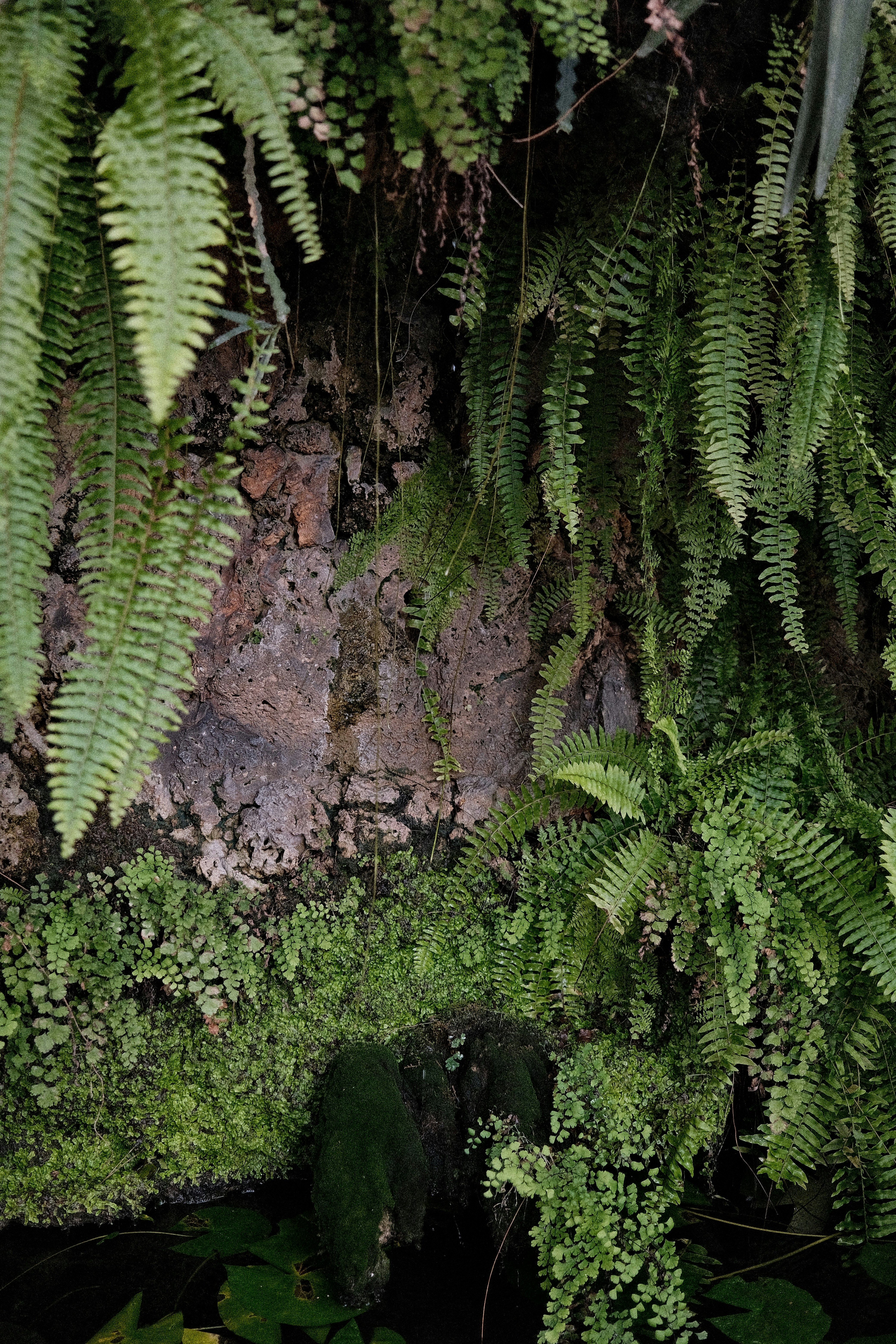 Photo by valentinlacoste