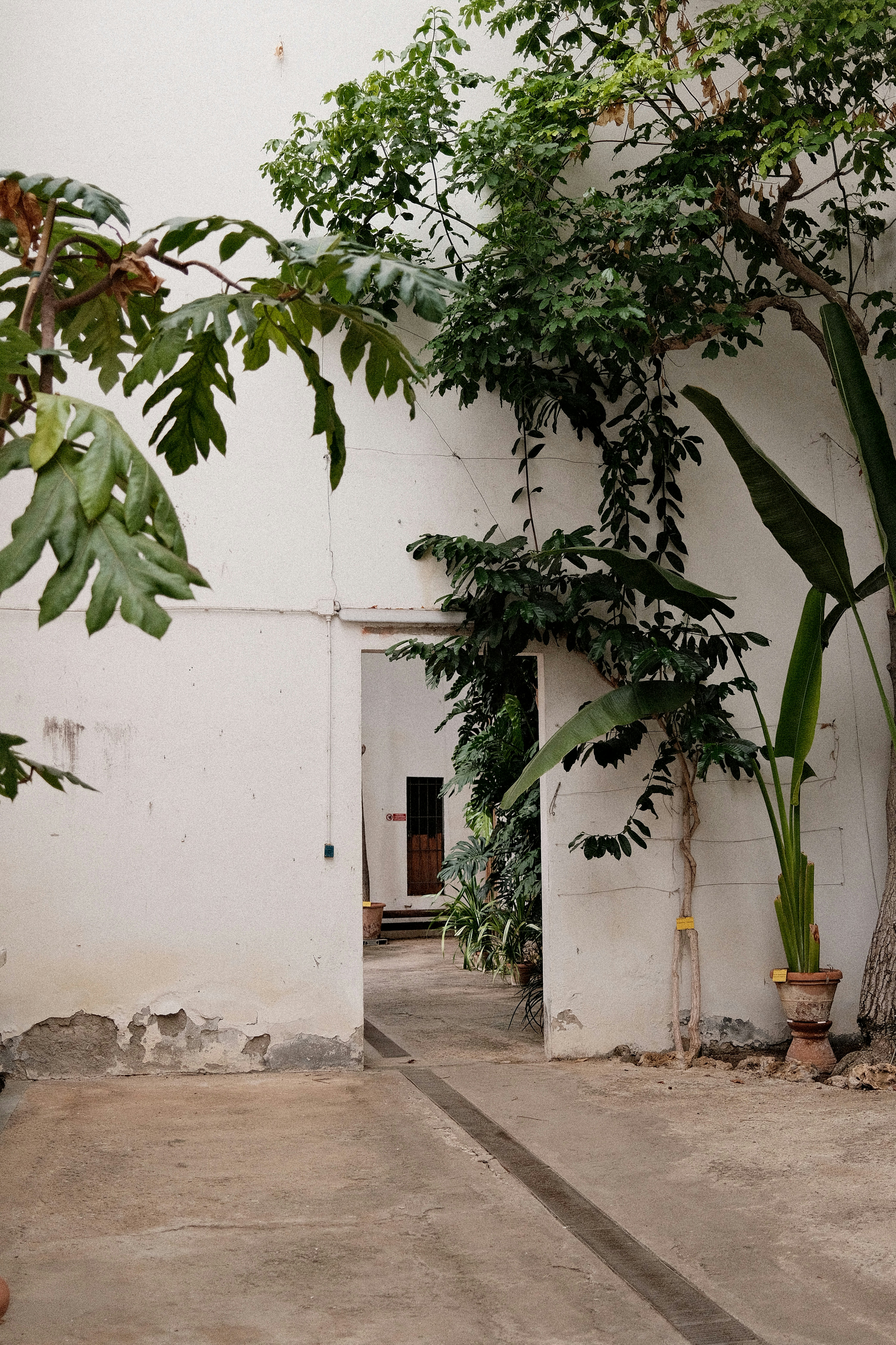 Photo by valentinlacoste