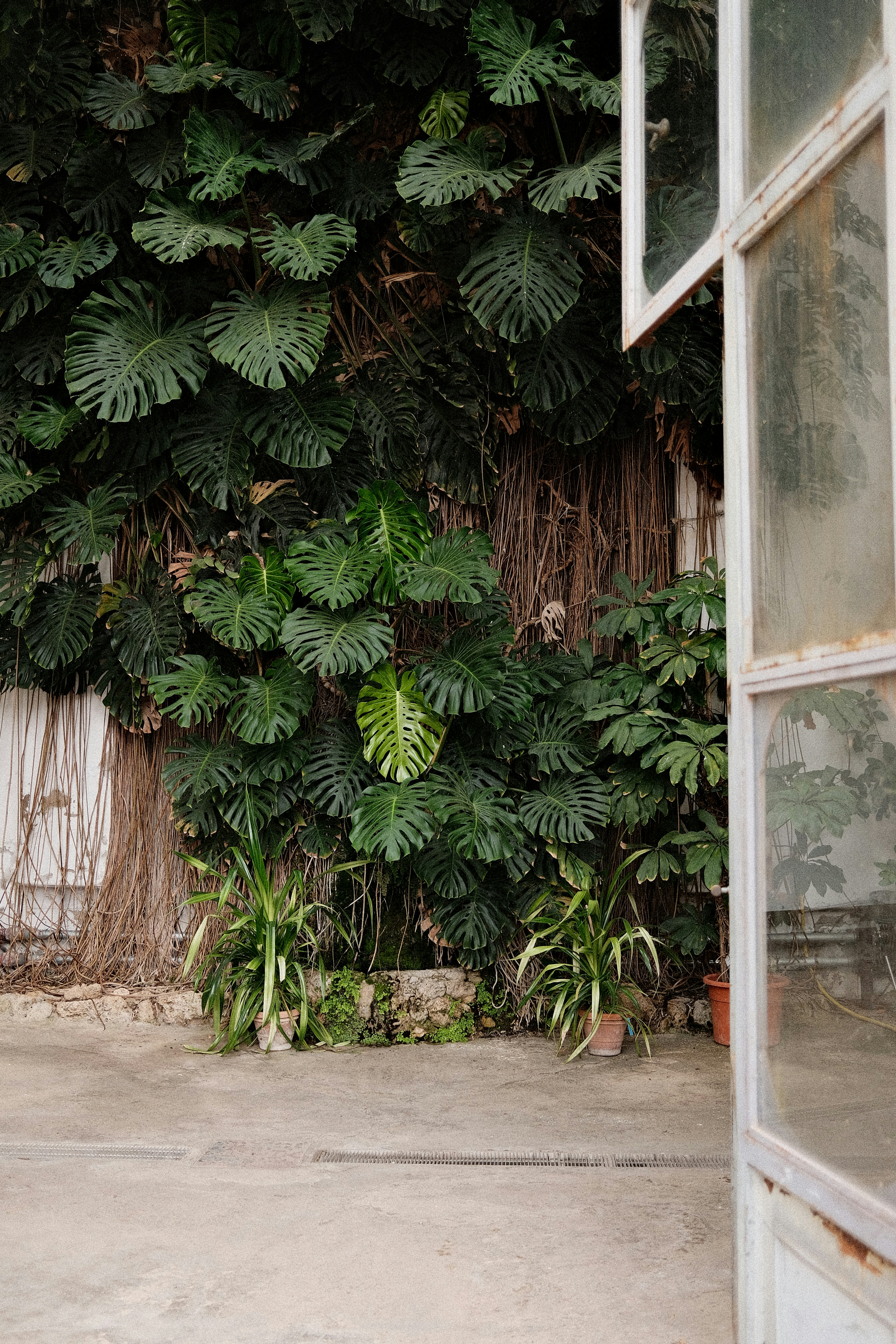 Photo by valentinlacoste