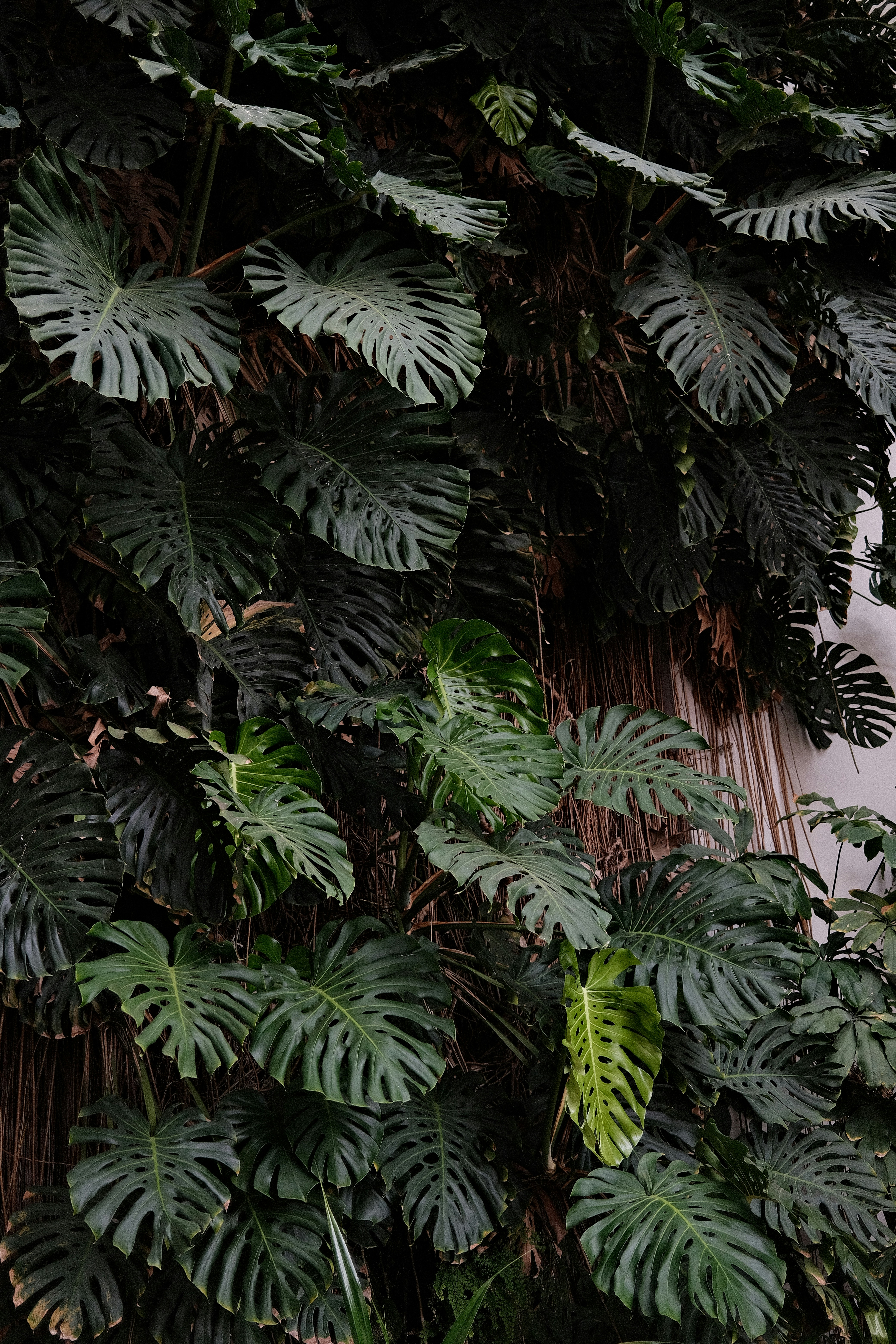 Photo by valentinlacoste