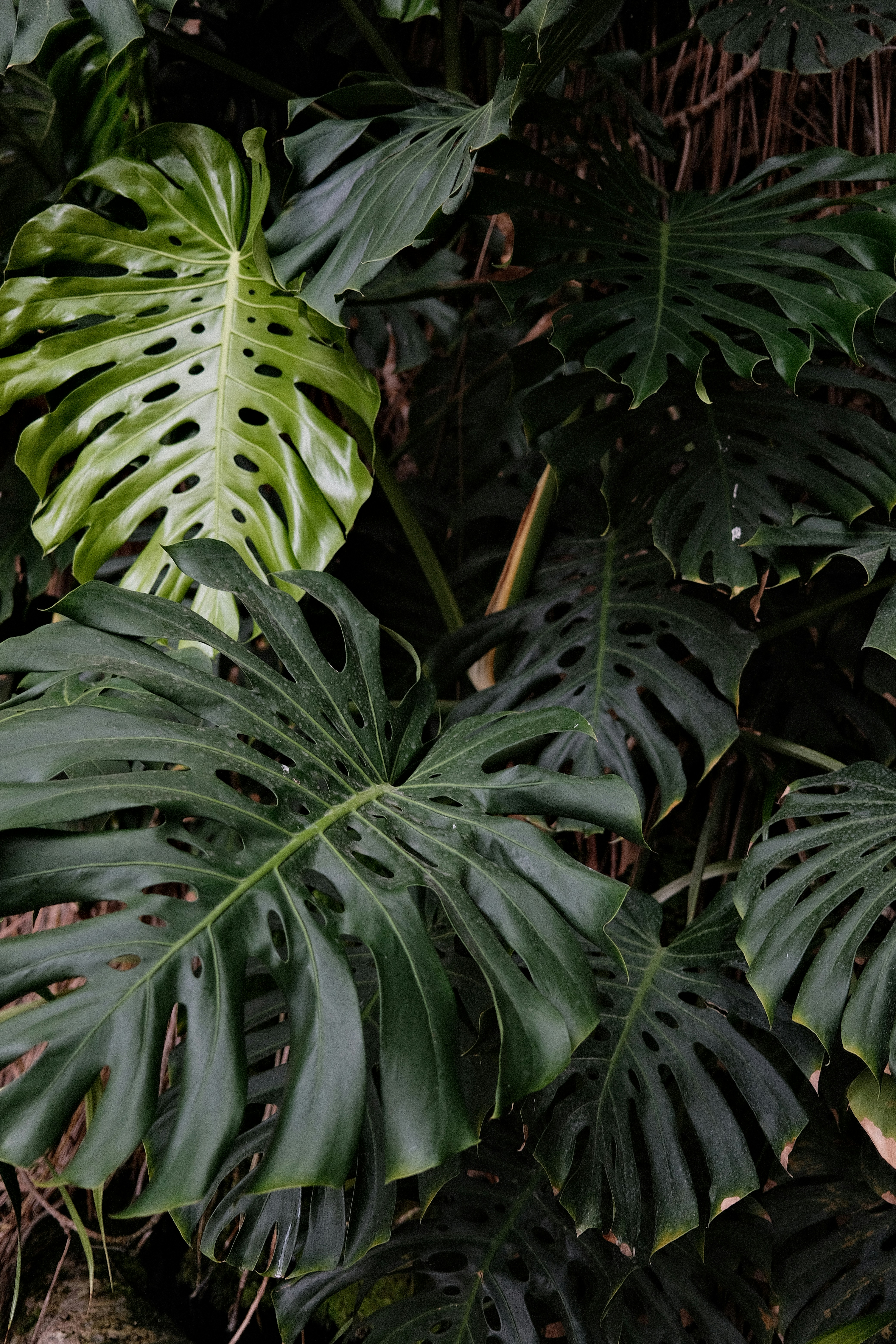 Photo by valentinlacoste