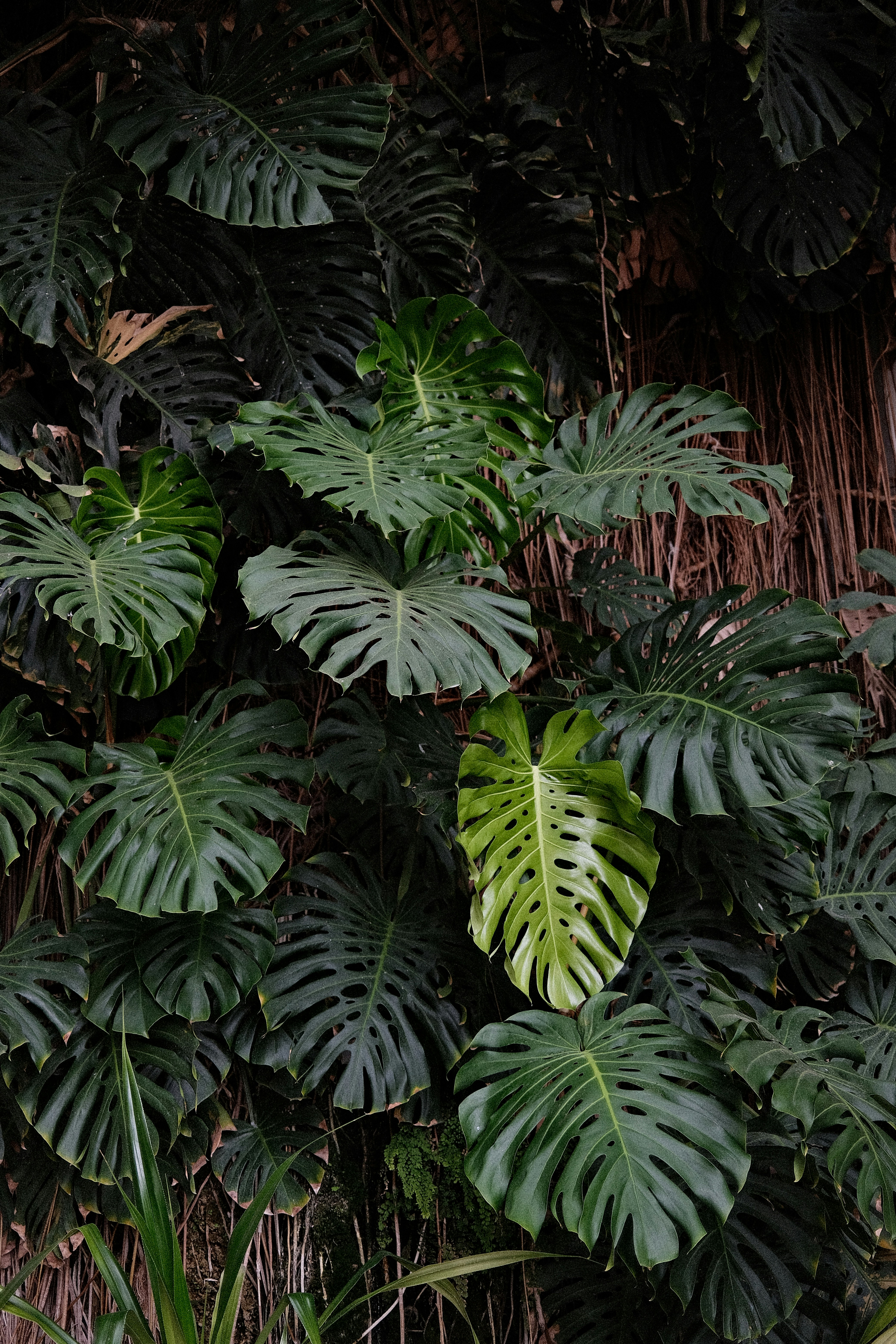 Photo by valentinlacoste