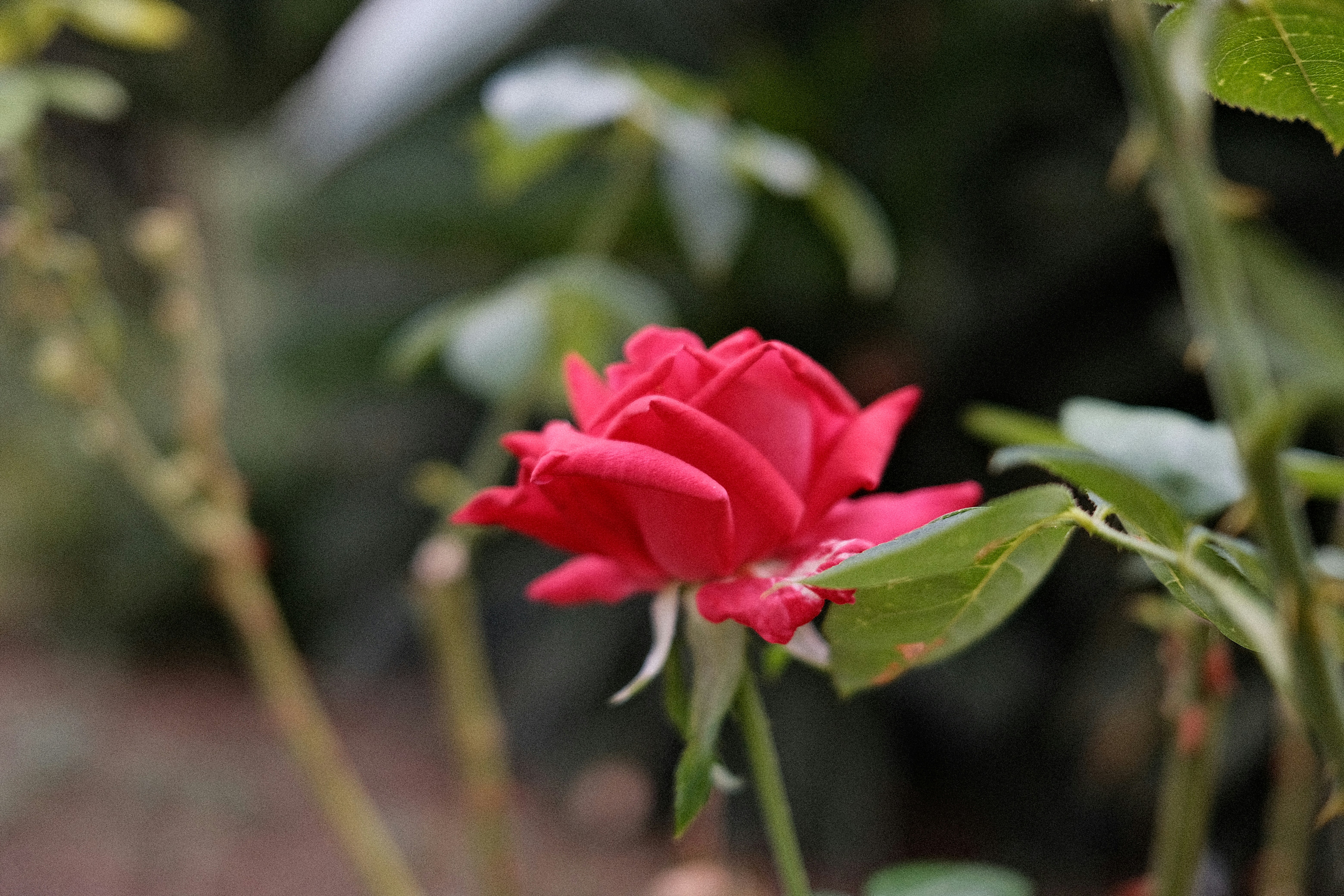 Photo by valentinlacoste