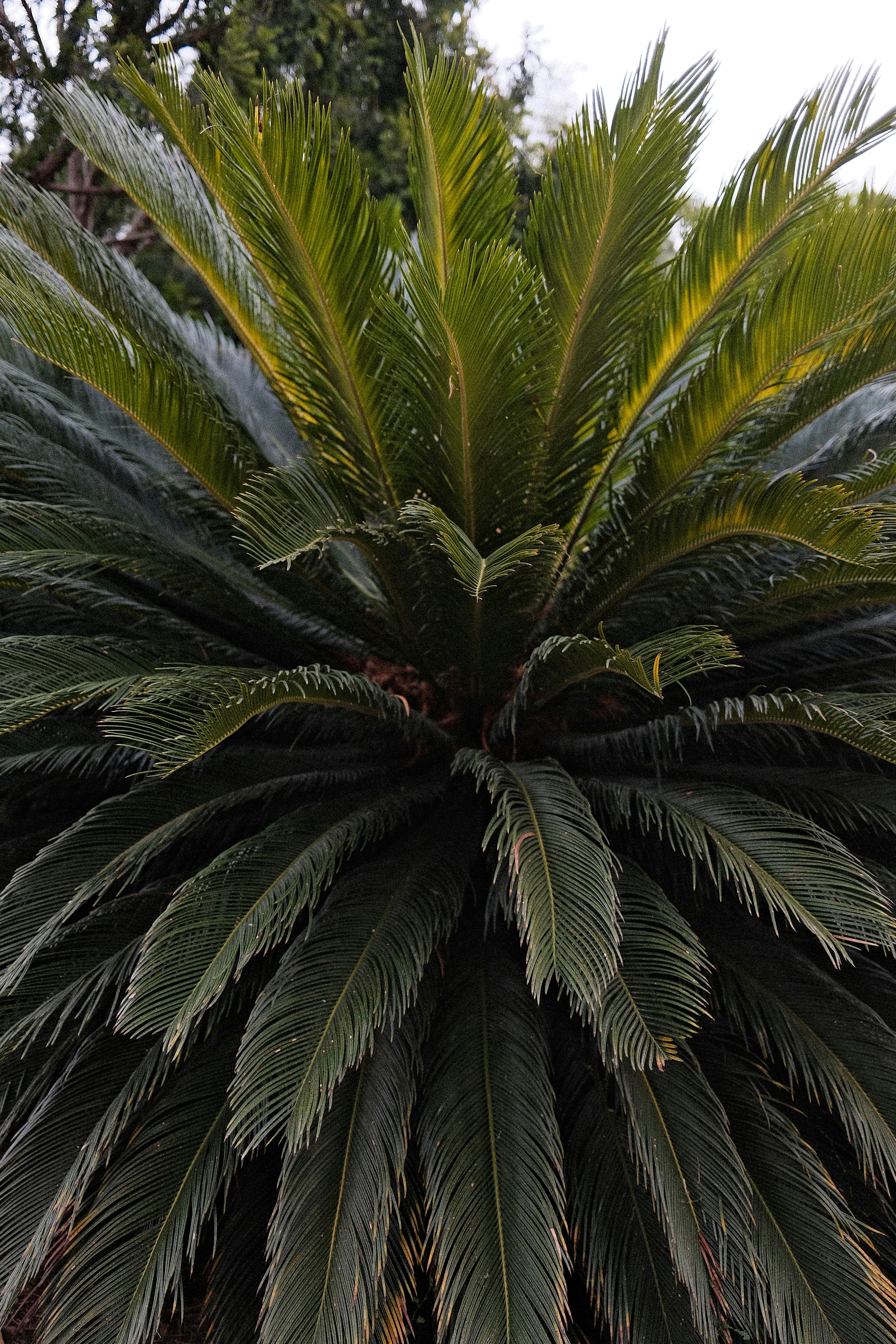 Photo by valentinlacoste