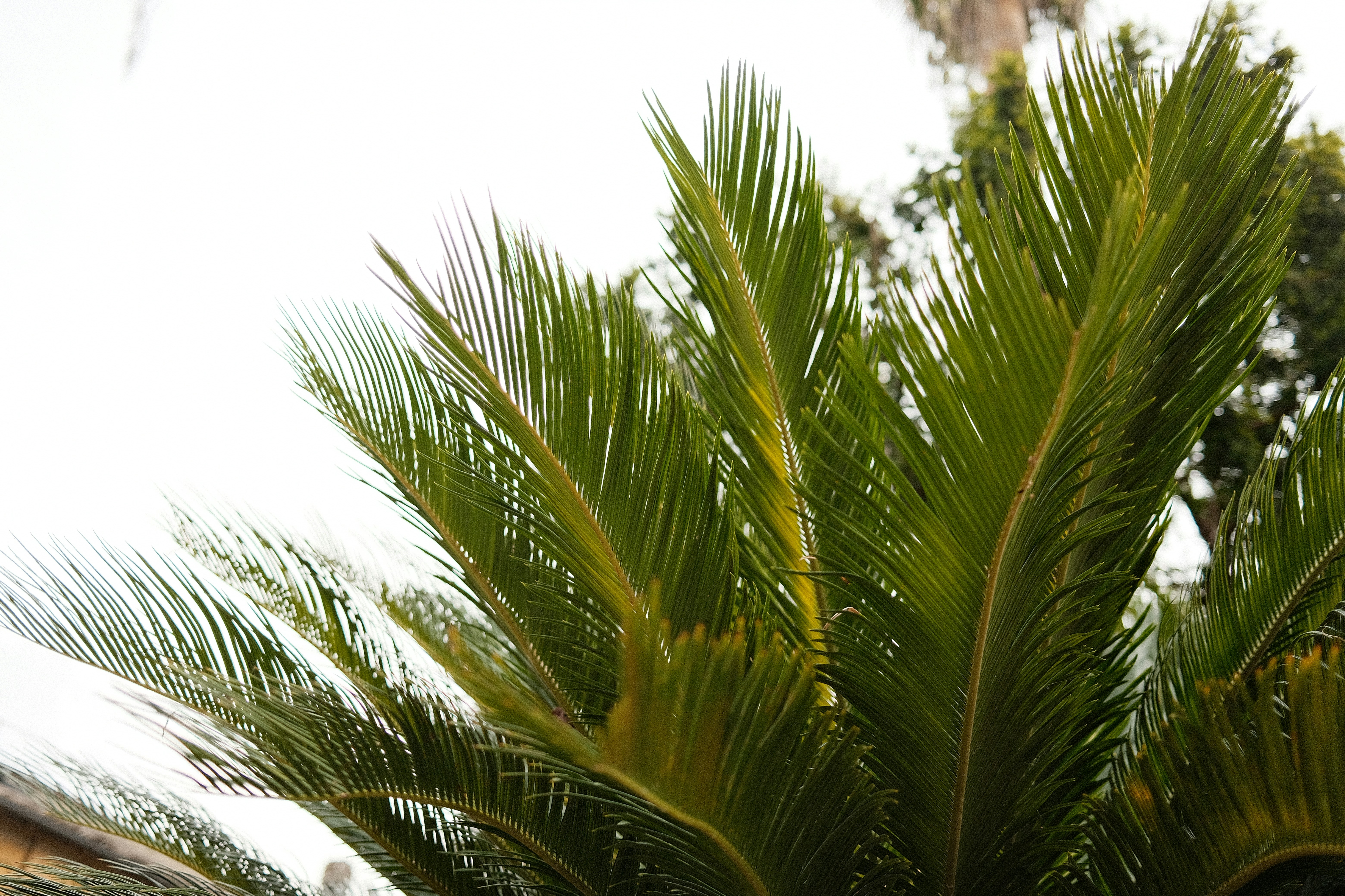 Photo by valentinlacoste