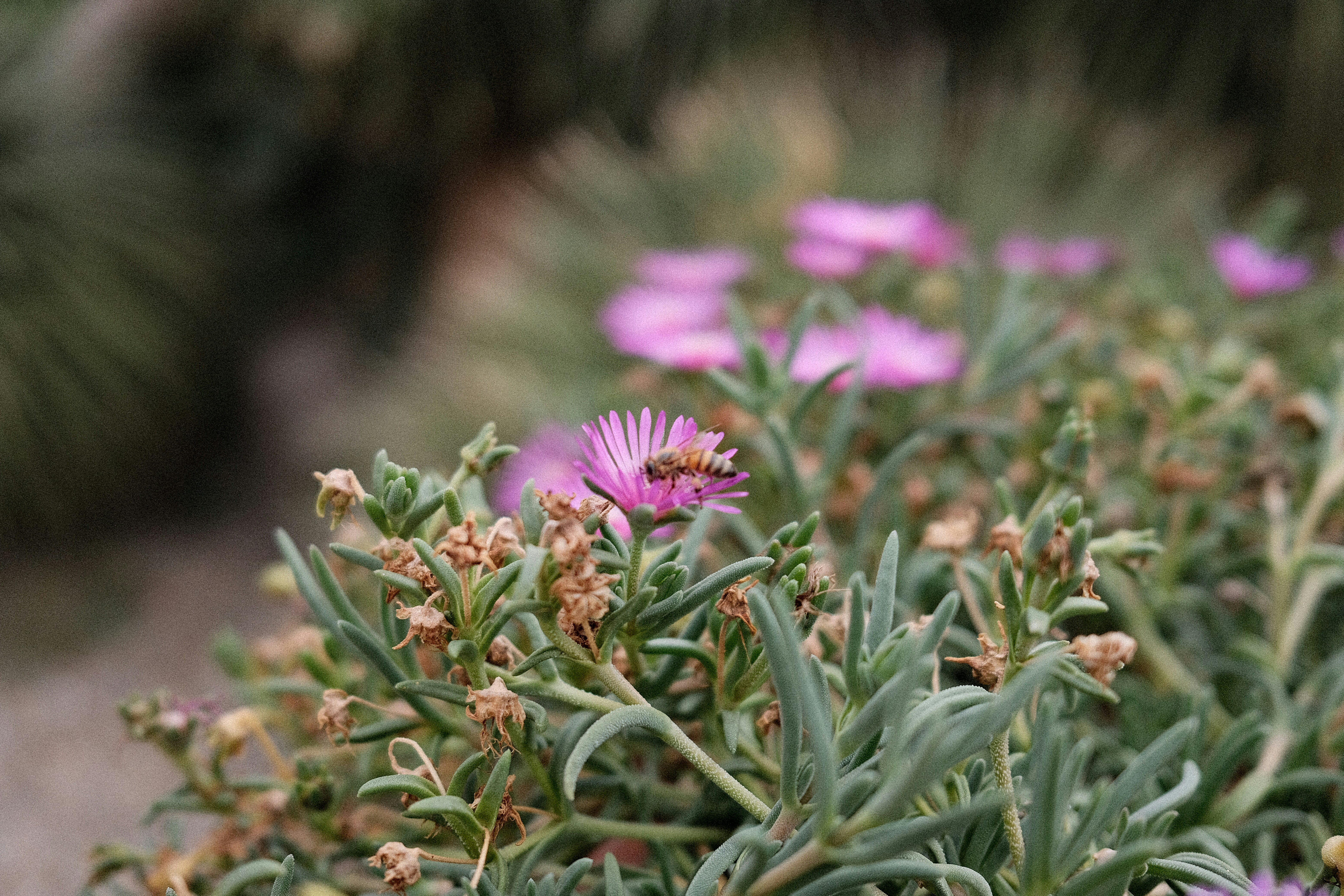 Photo by valentinlacoste