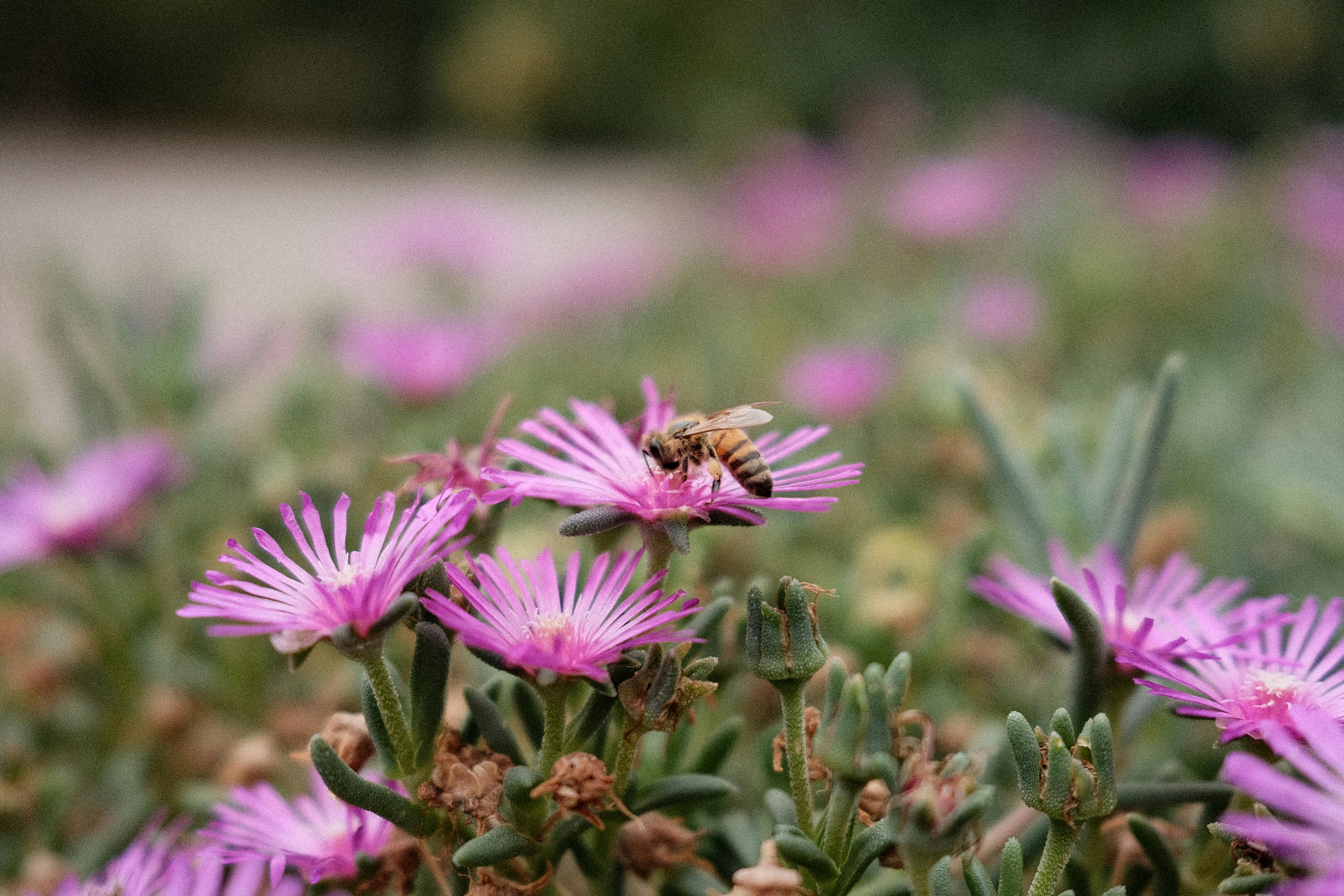 Photo by valentinlacoste