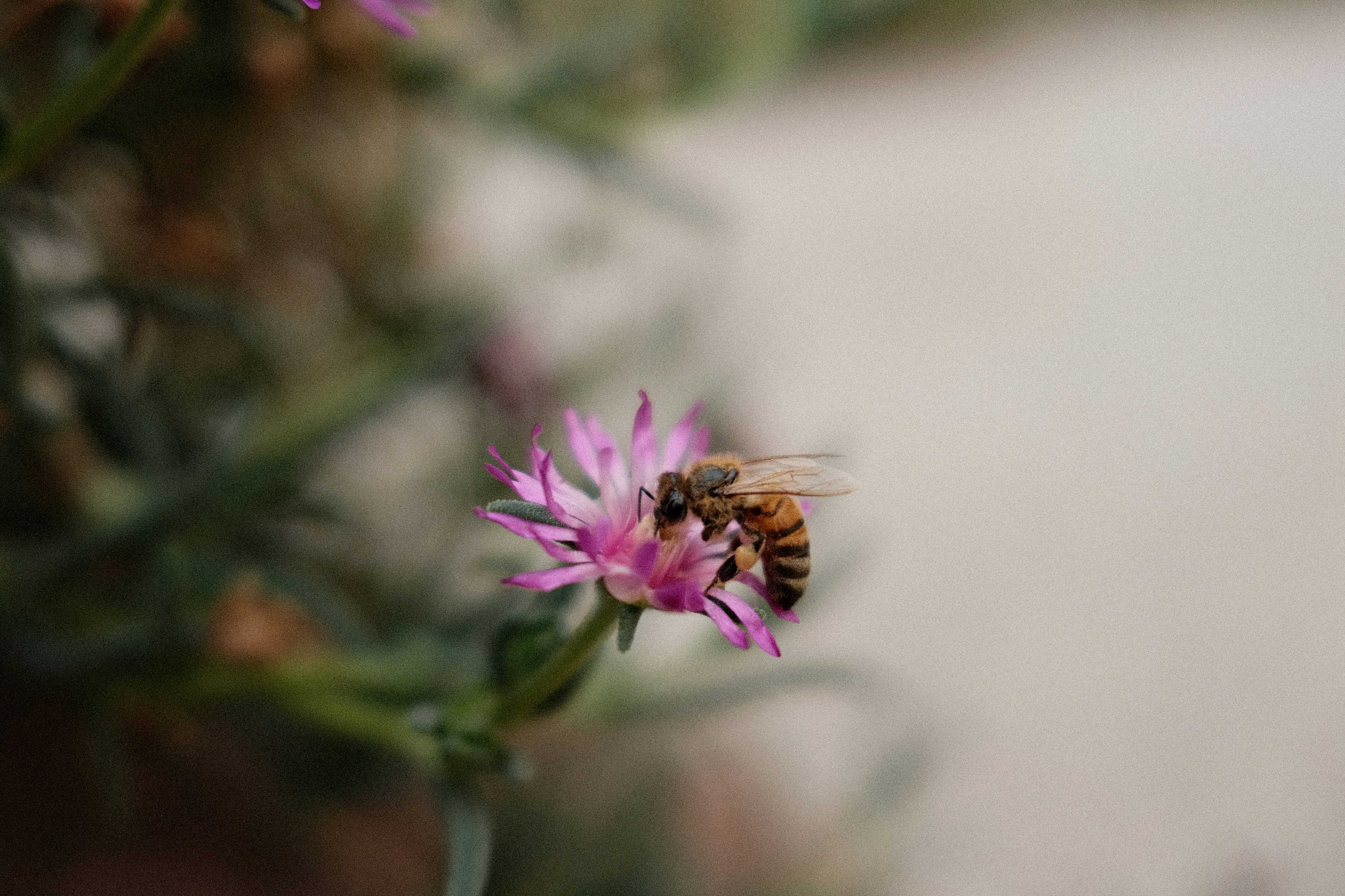 Photo by valentinlacoste