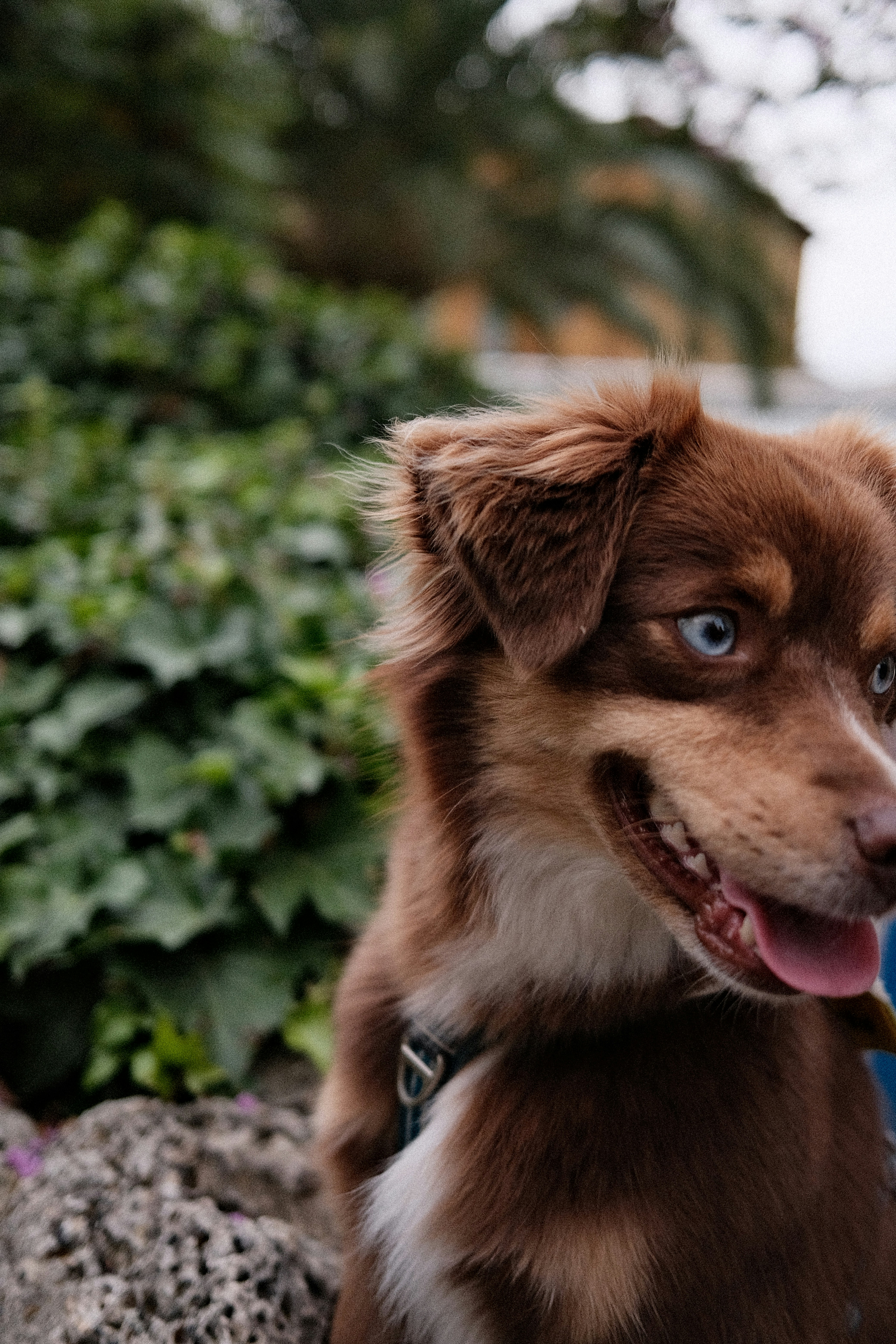 Photo by valentinlacoste