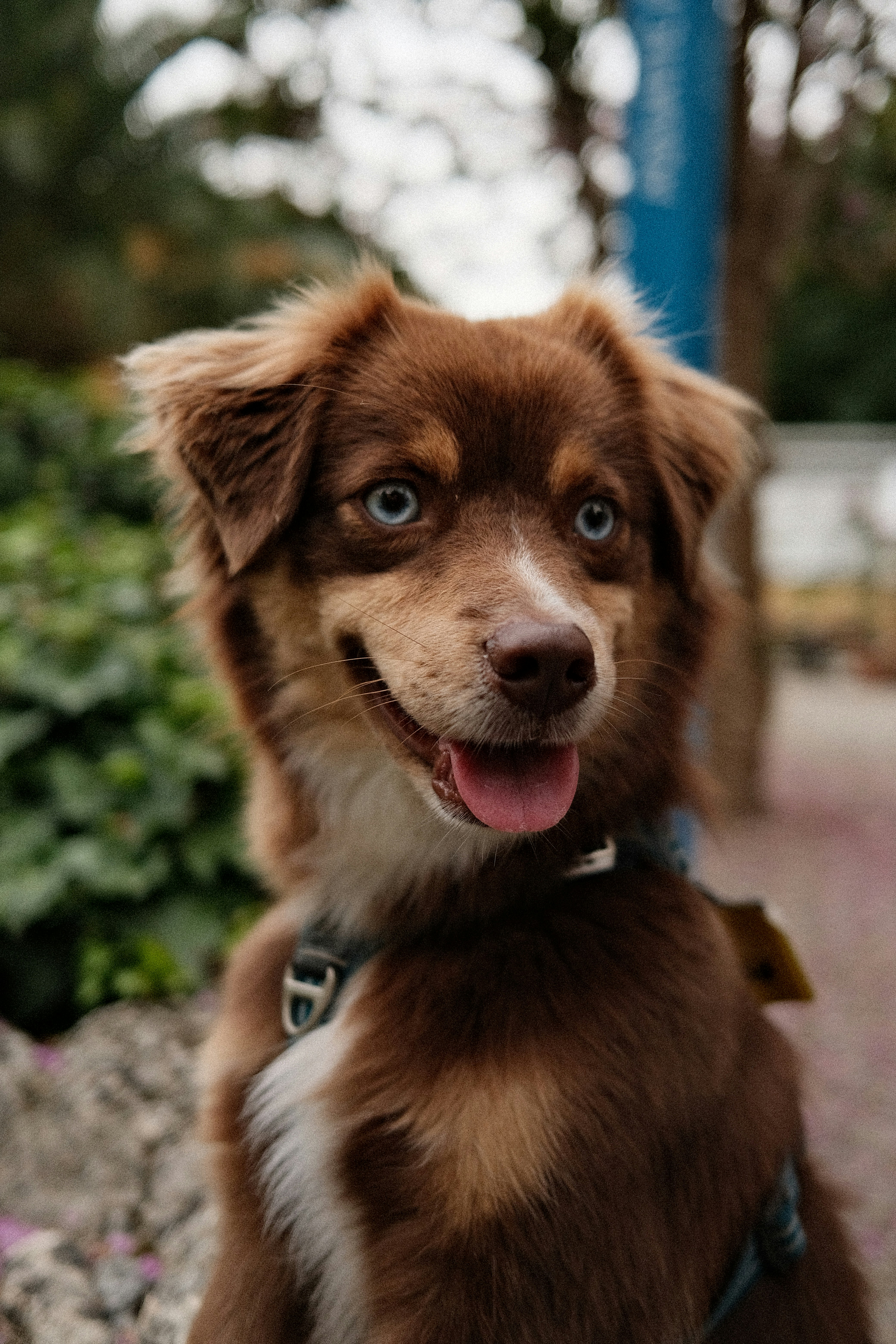 Photo by valentinlacoste