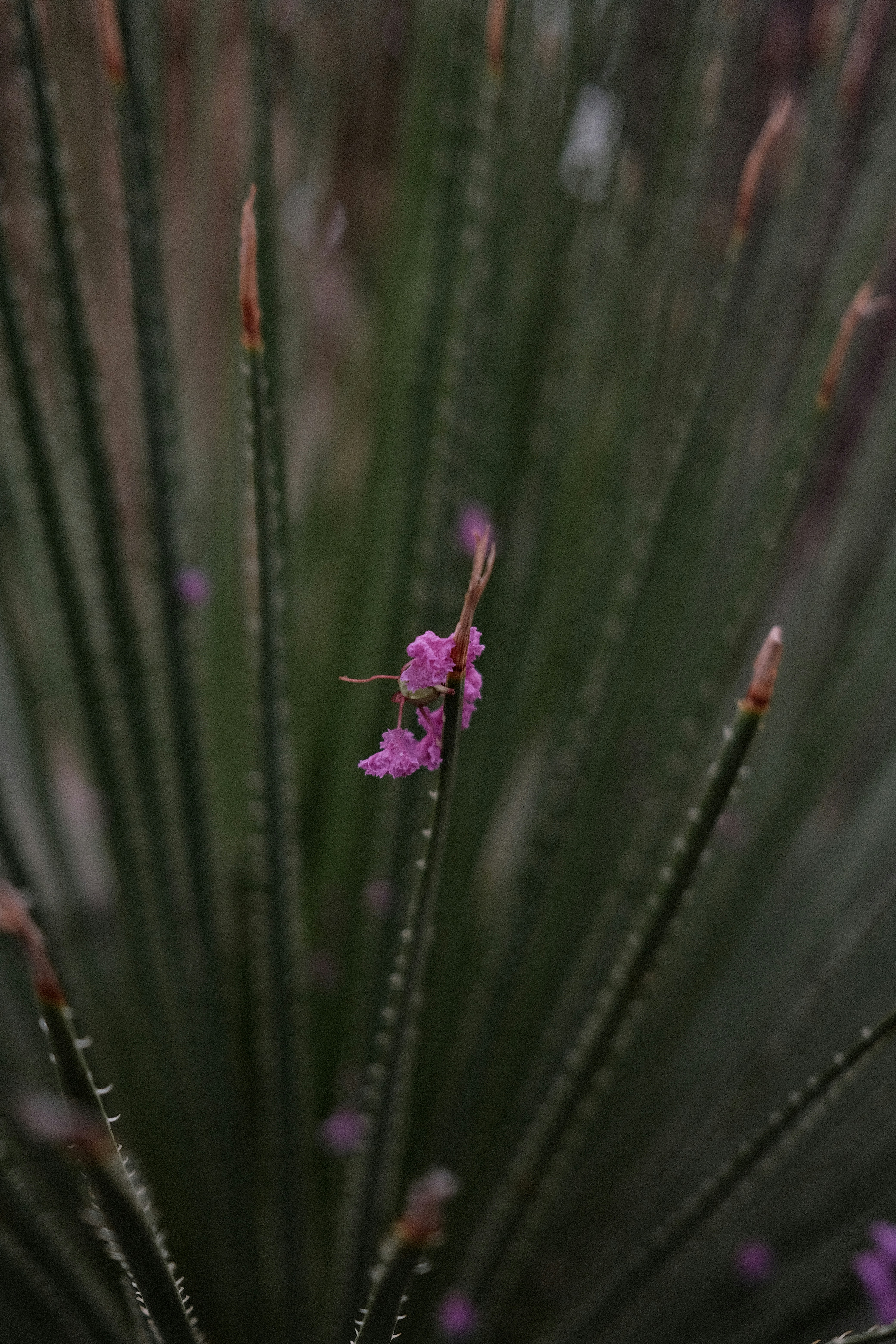 Photo by valentinlacoste