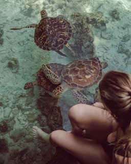 A woman looking at turtles in the water