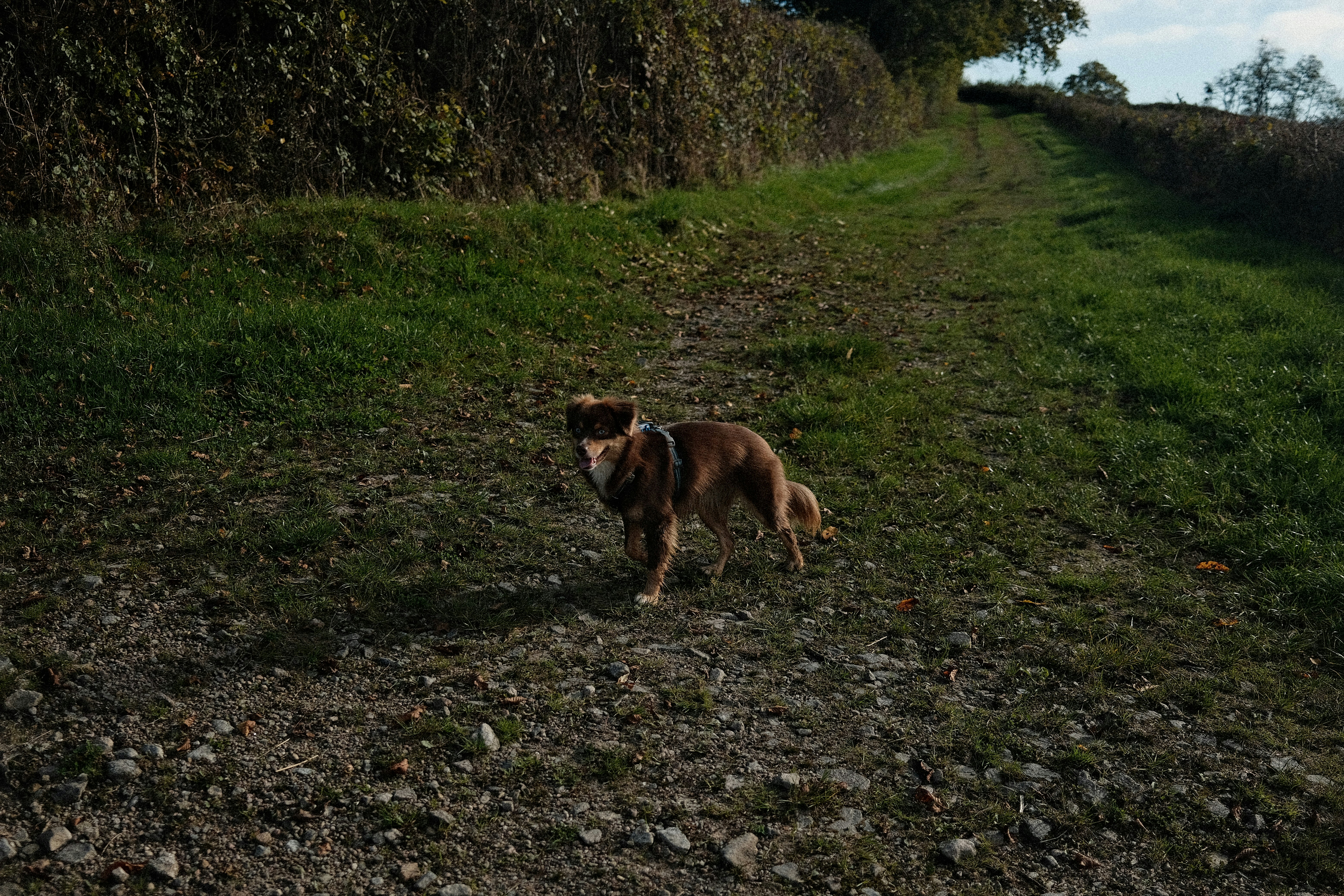 Photo by valentinlacoste