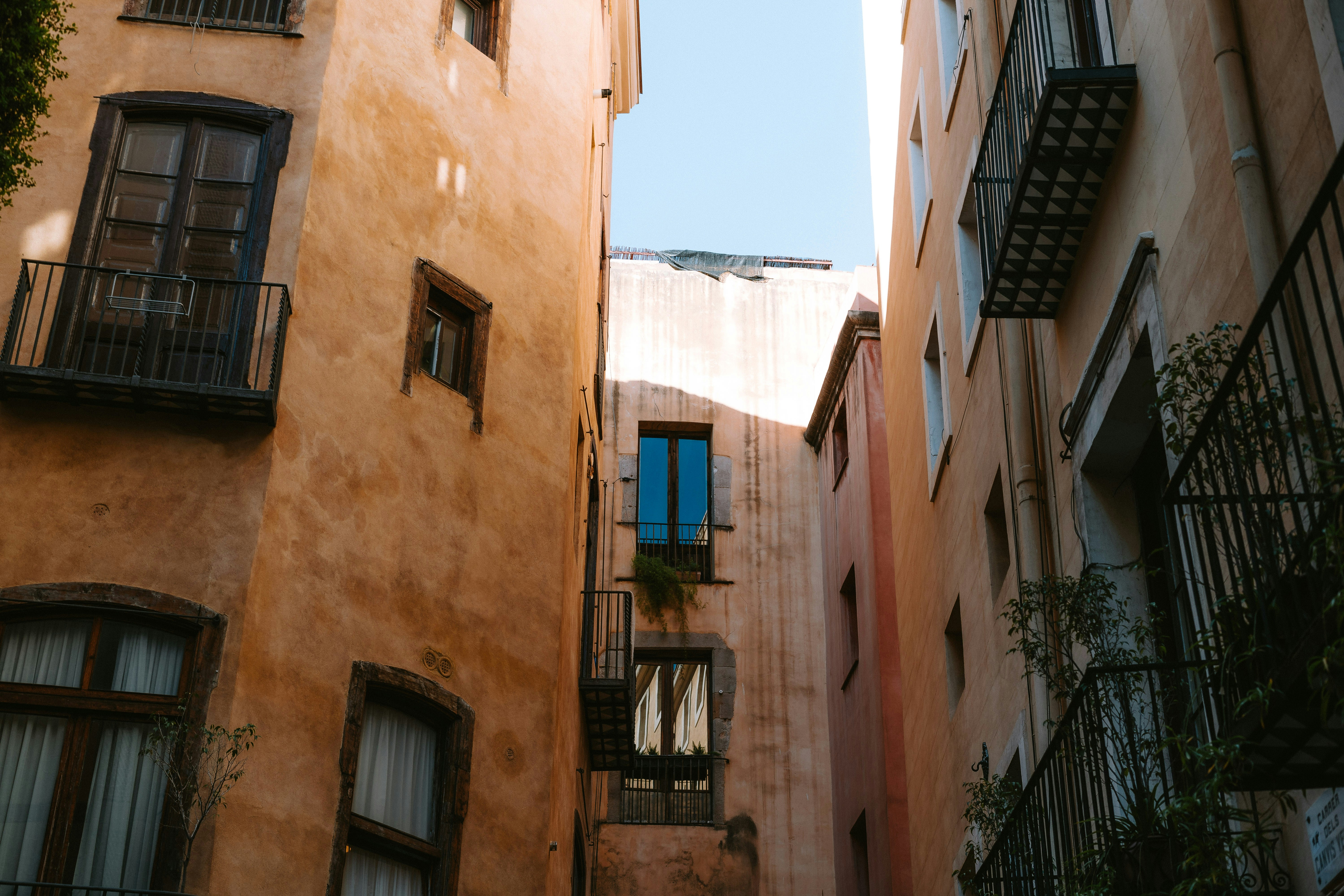 Photo by william_rudolph