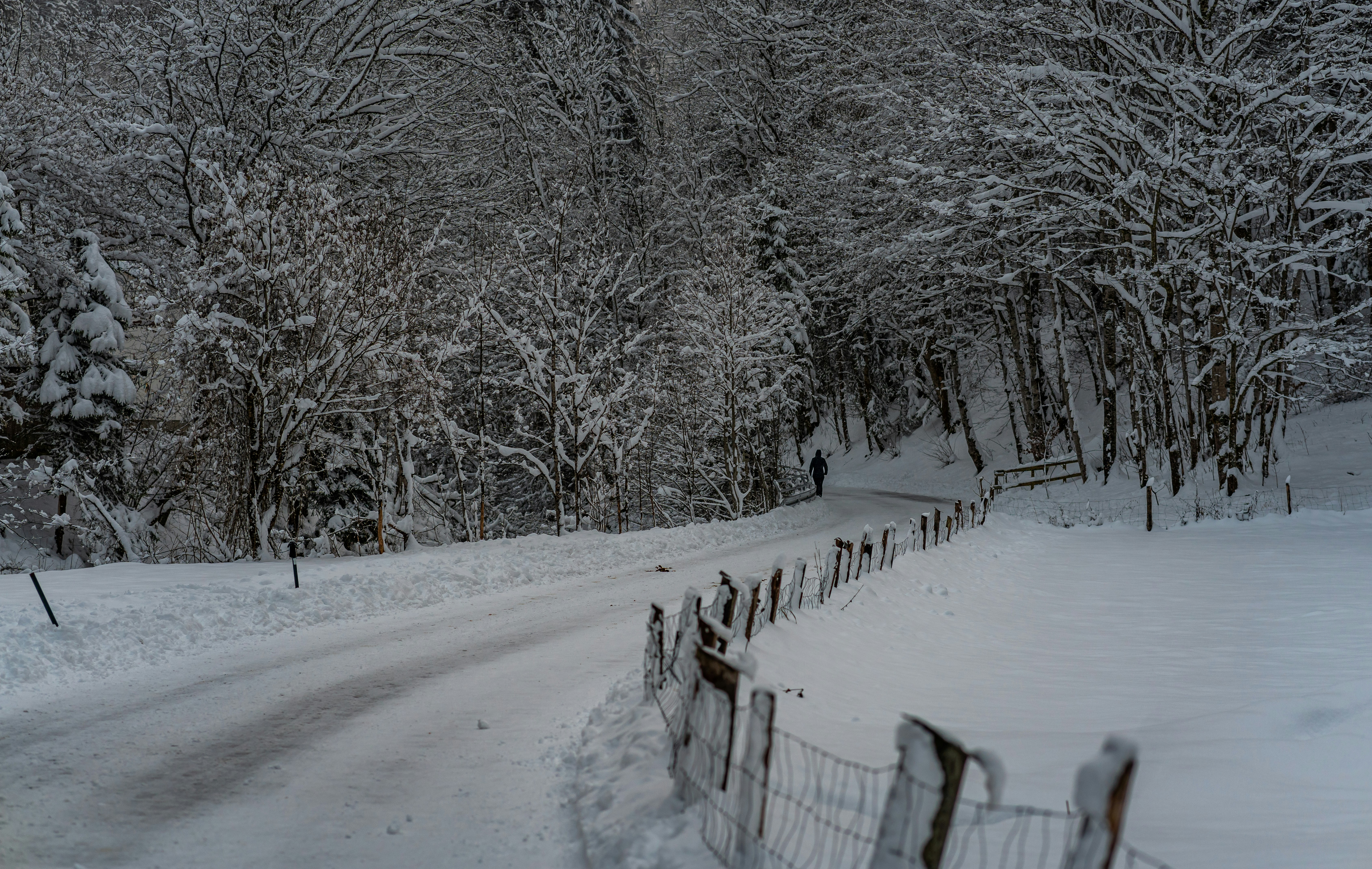 Photo by jahan_photobox