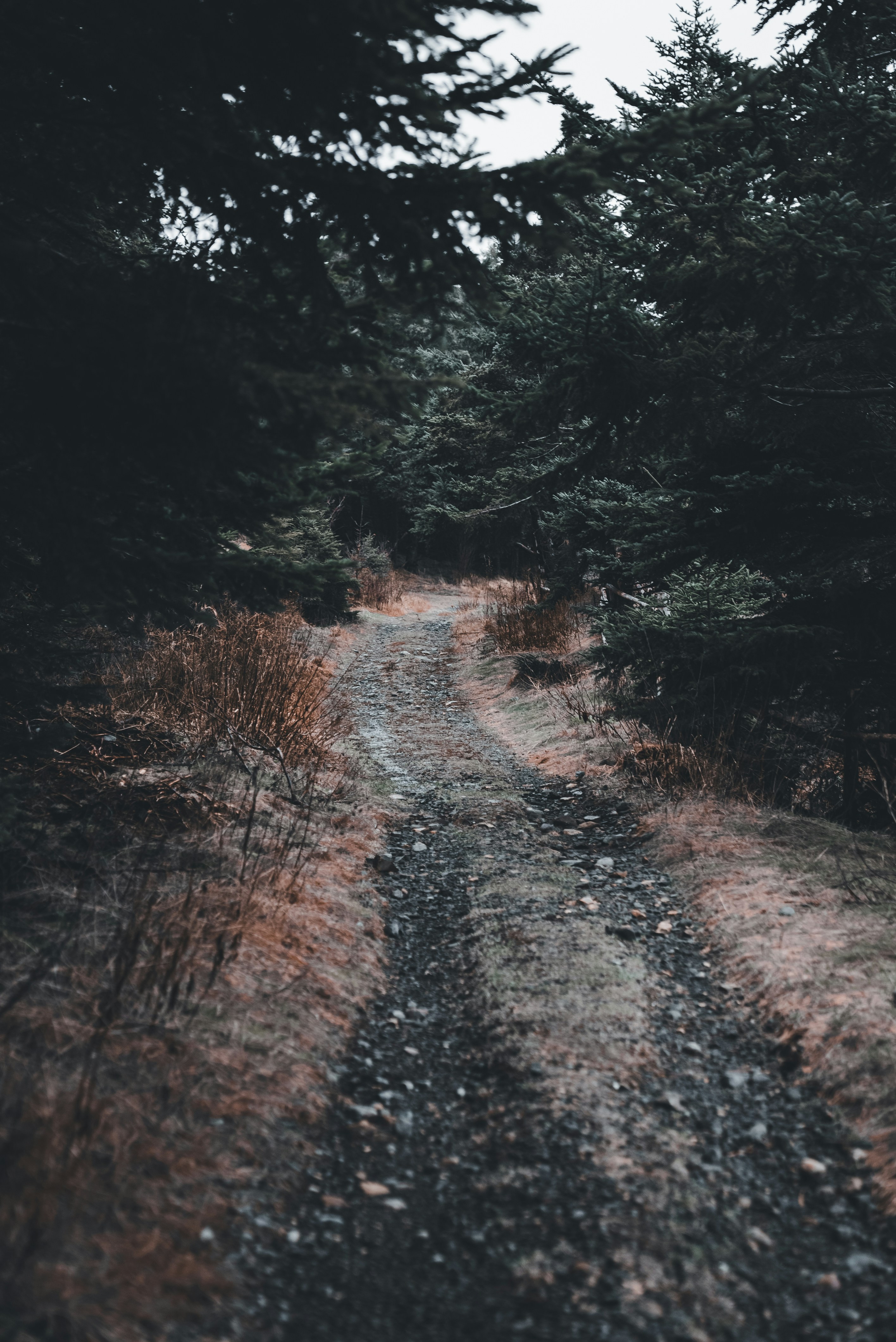 Photo by introspectivedsgn