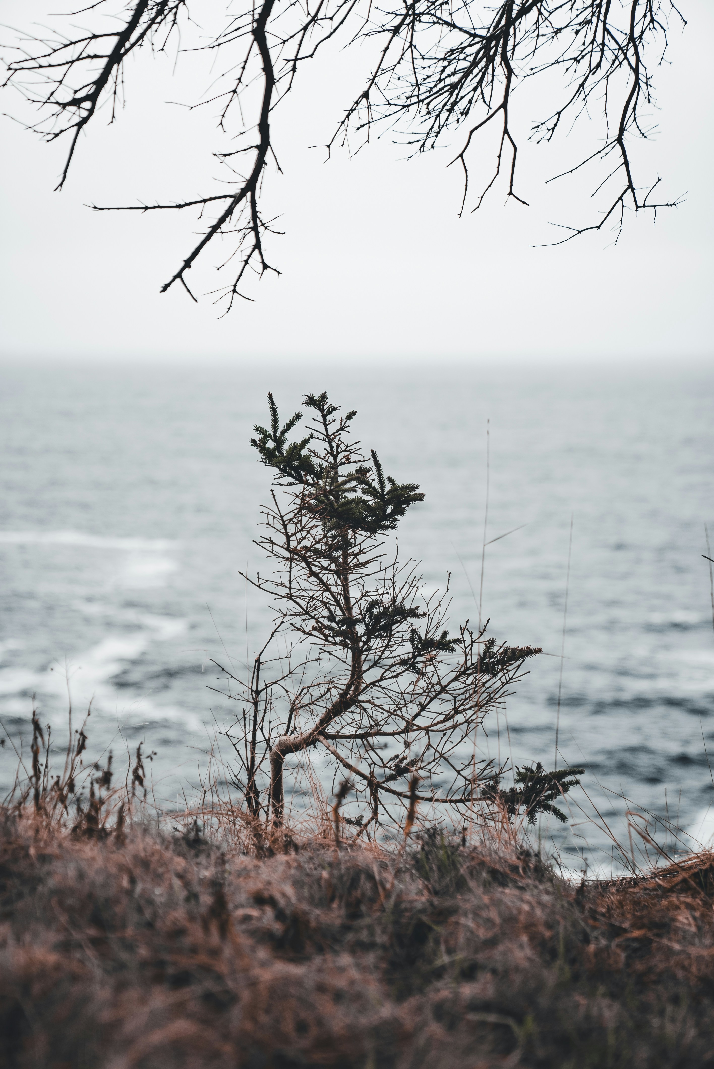 Photo by introspectivedsgn