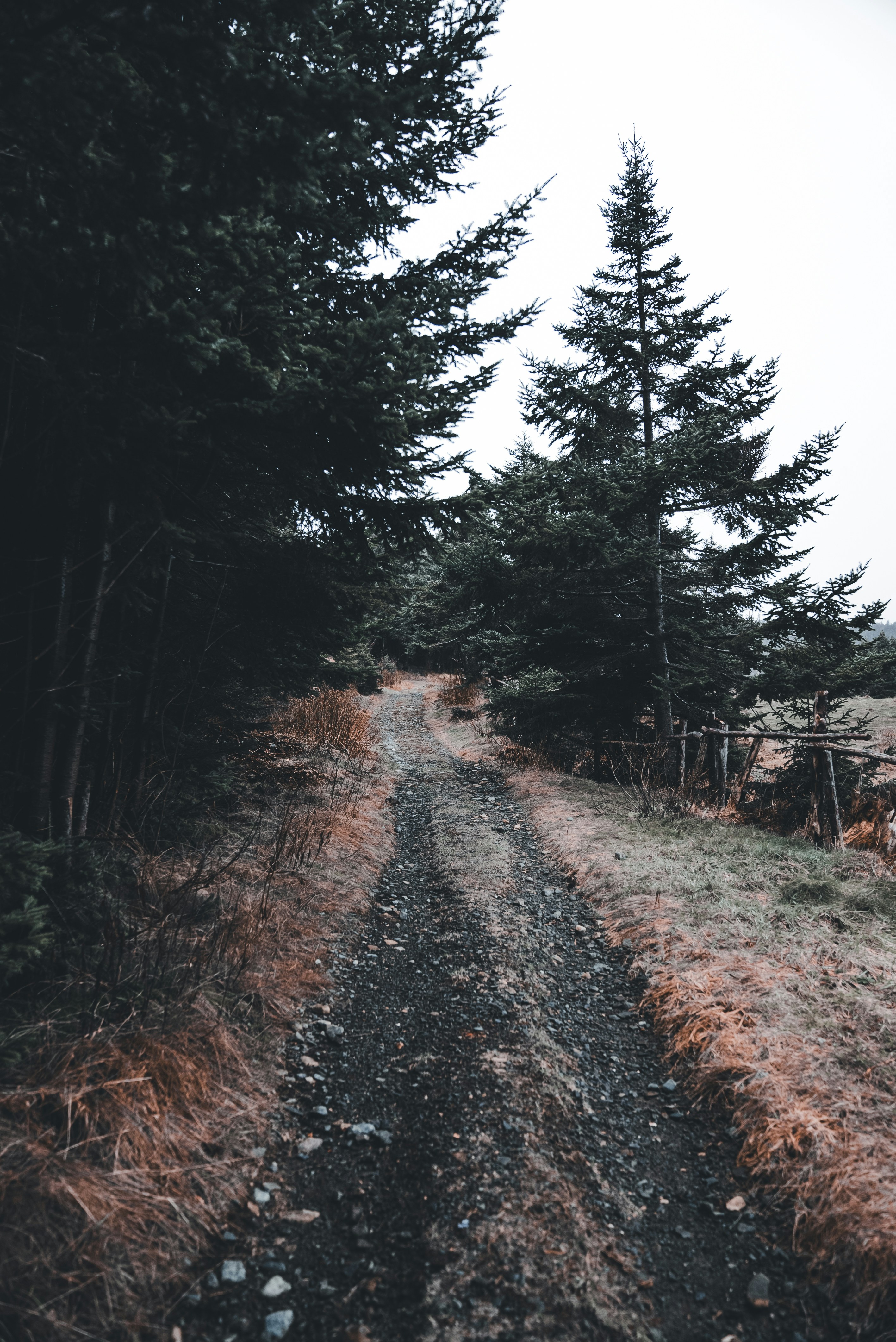 Photo by introspectivedsgn