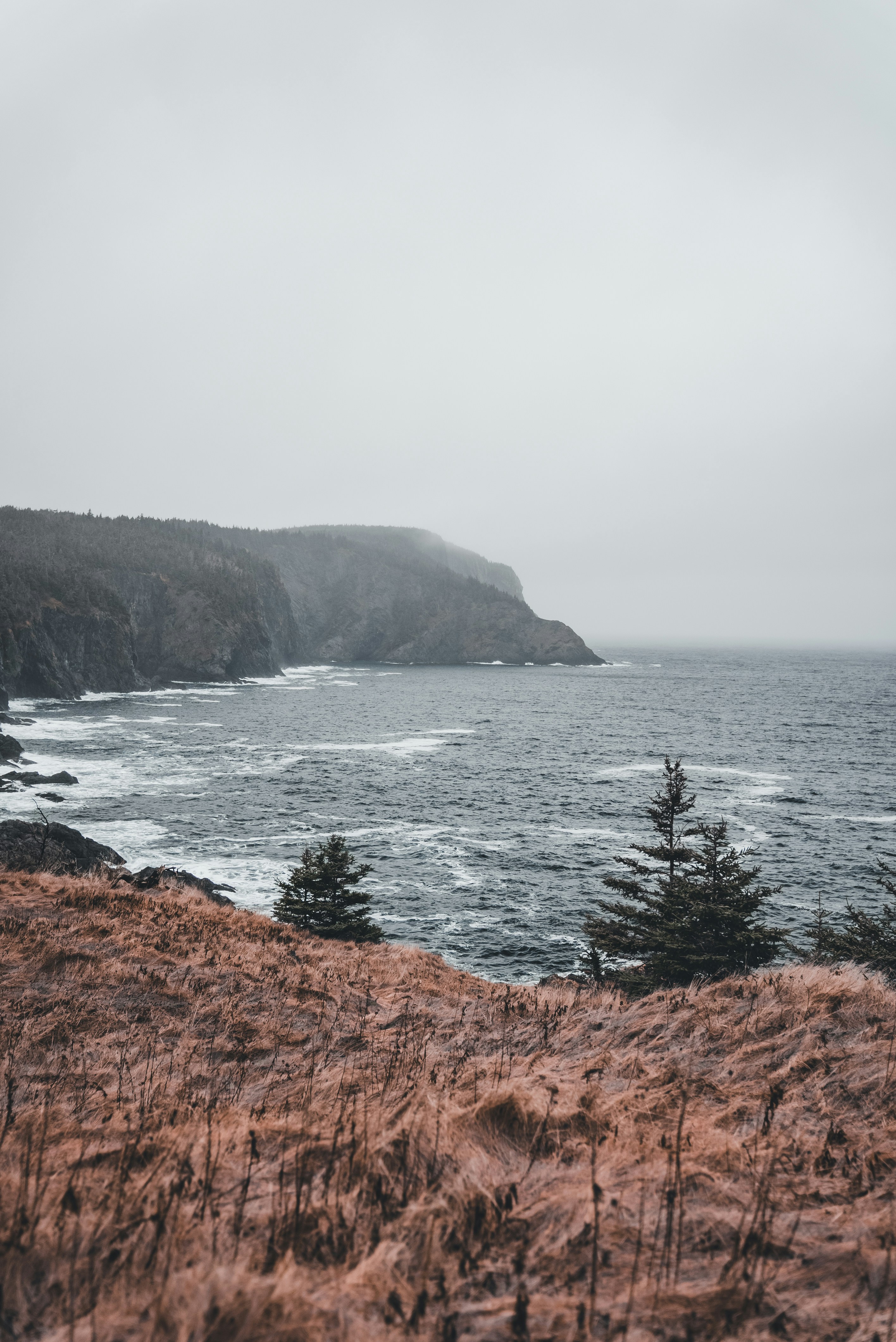 Photo by introspectivedsgn