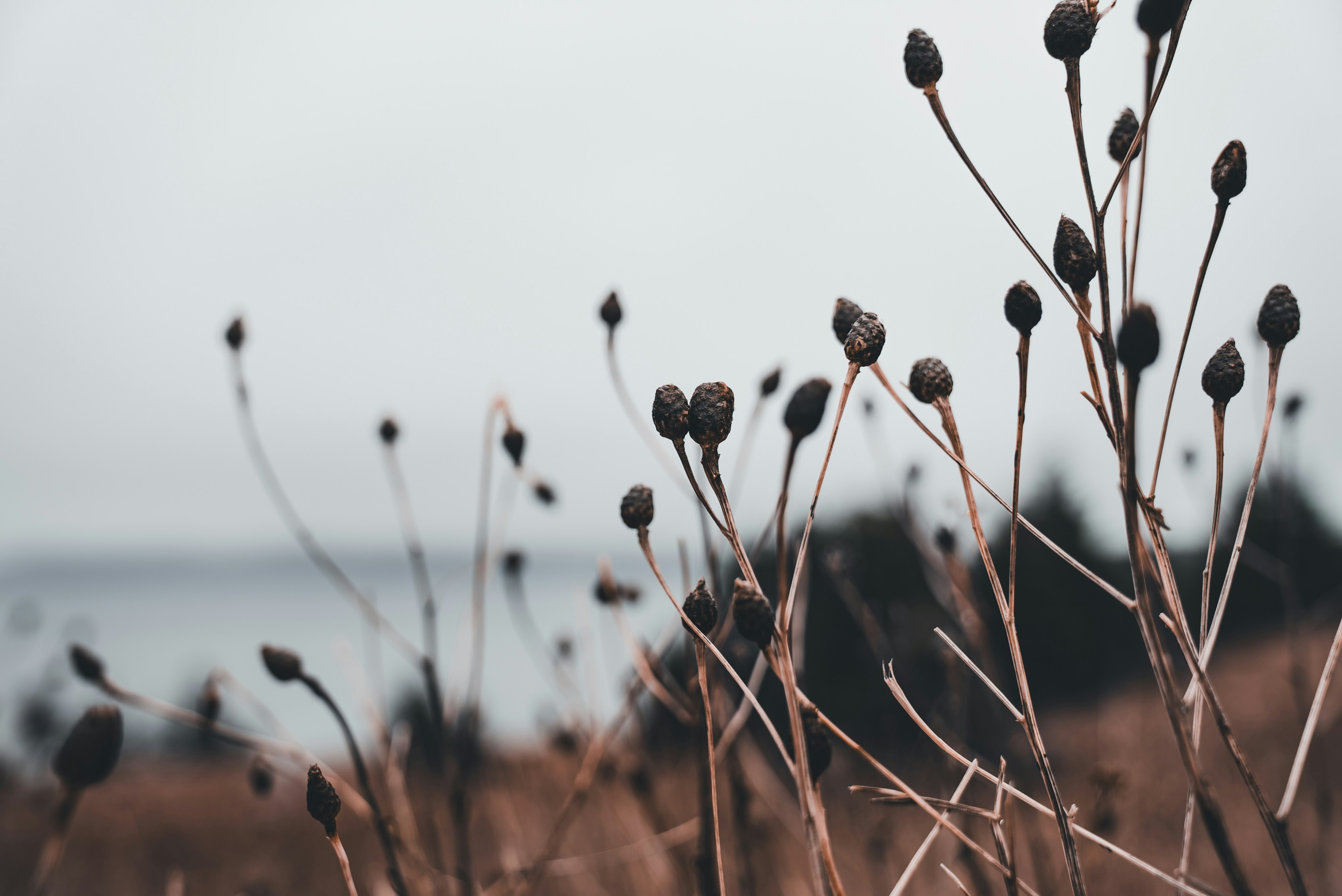 Photo by introspectivedsgn