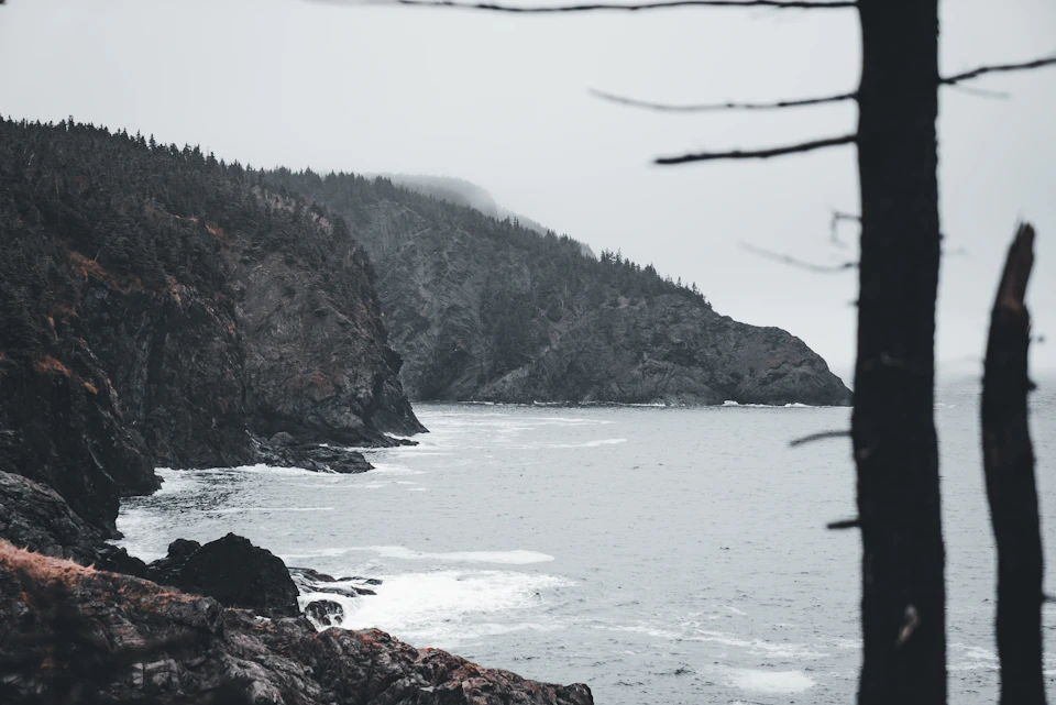 The image depicts a serene coastal scene with a rocky cliff on one side and a body of water on the other, separated by a small island. The sky above is overcast, casting a soft light over the landscape. In the foreground, there are two trees standing tall against the gray backdrop, adding a touch of green to the otherwise monochrome palette.