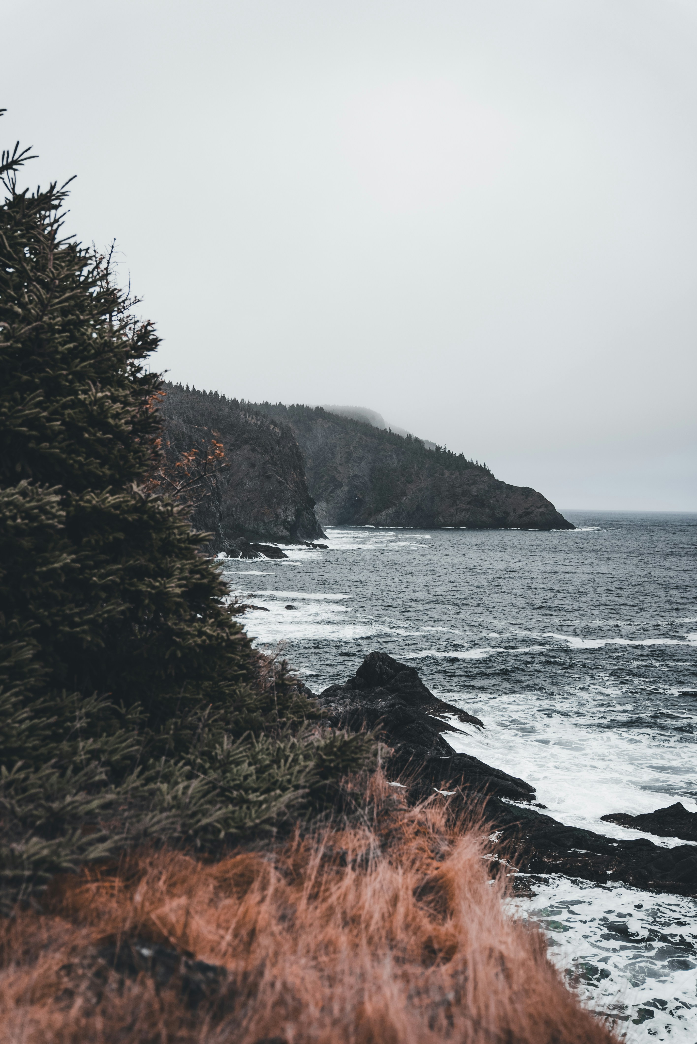 Photo by introspectivedsgn